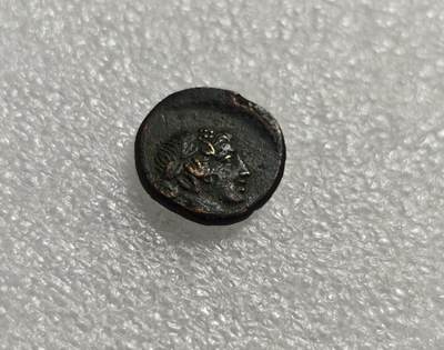 瓶子🏺第215期拍卖会 -  古希腊铜币狄俄尼索斯铜币酒神铜币 公元前125-100年  本都王国  米特拉达梯六世时期打制  正面酒神狄俄尼索斯头像   背面豹皮、酒神权杖与圣篮