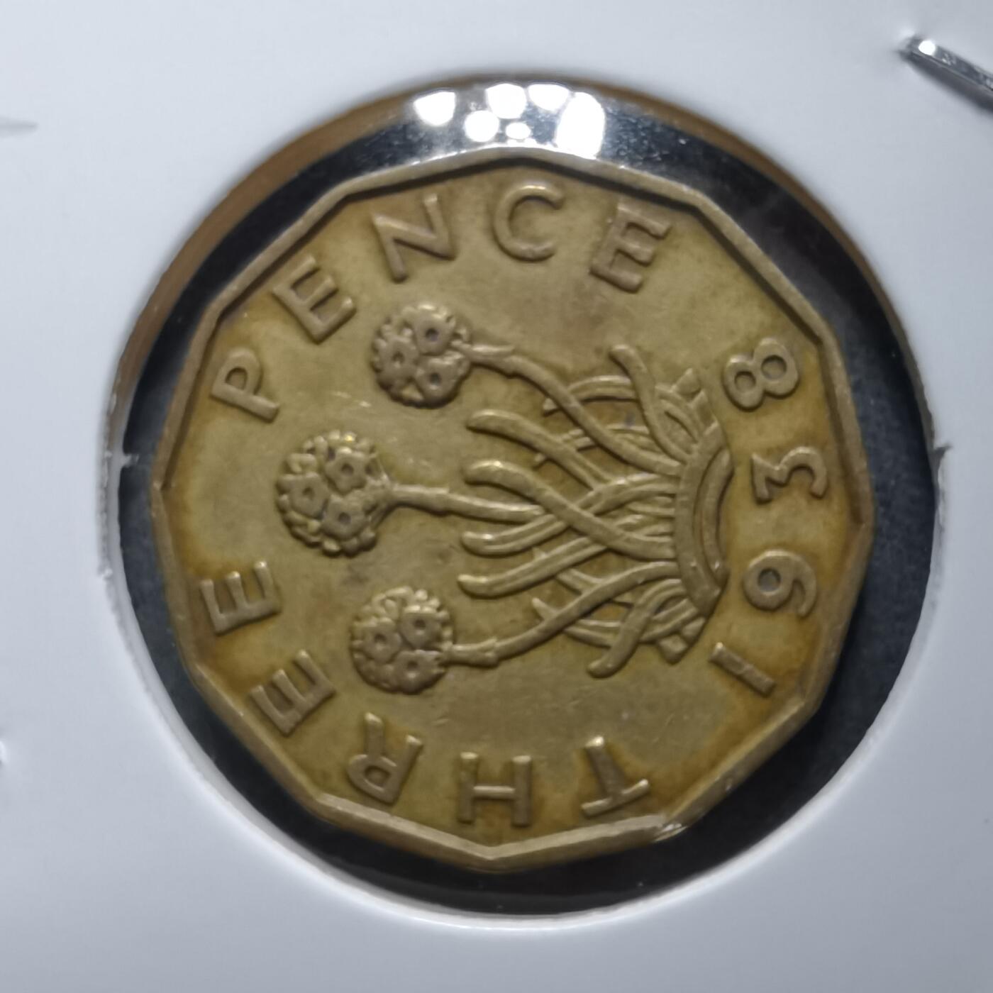 沼泽如烟--第892场