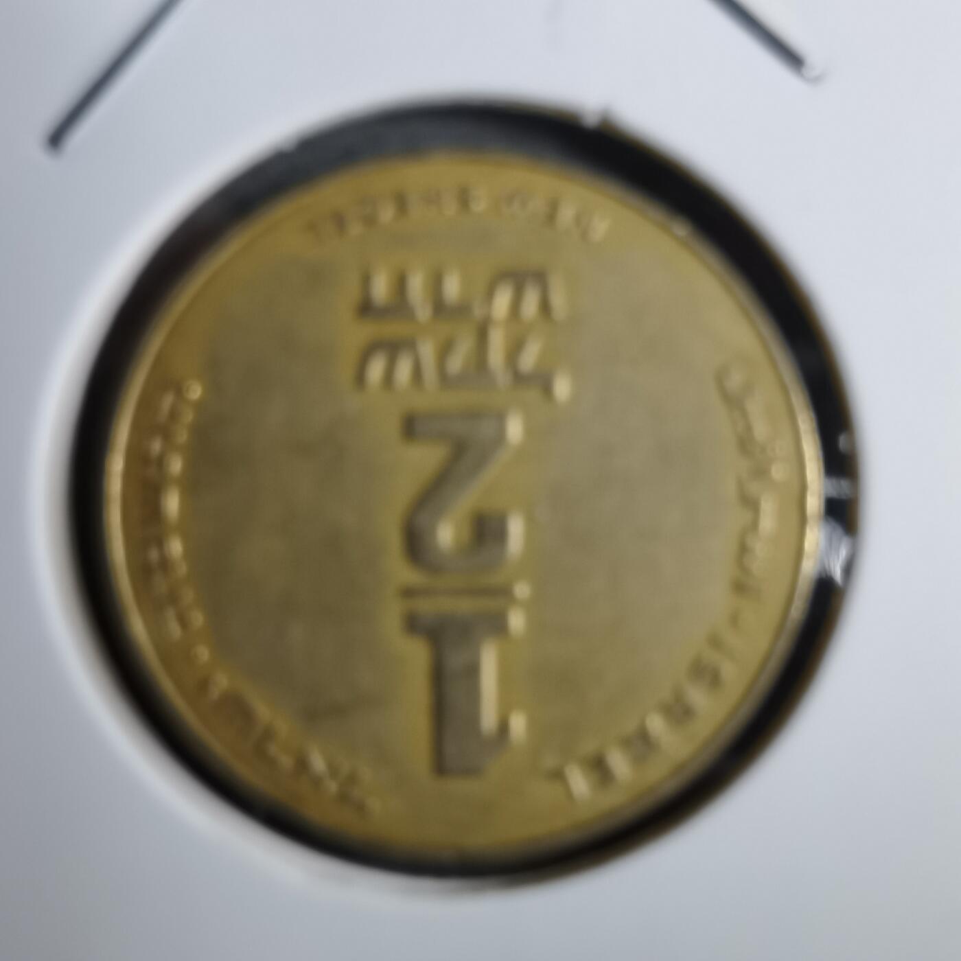 沼泽如烟--第892场