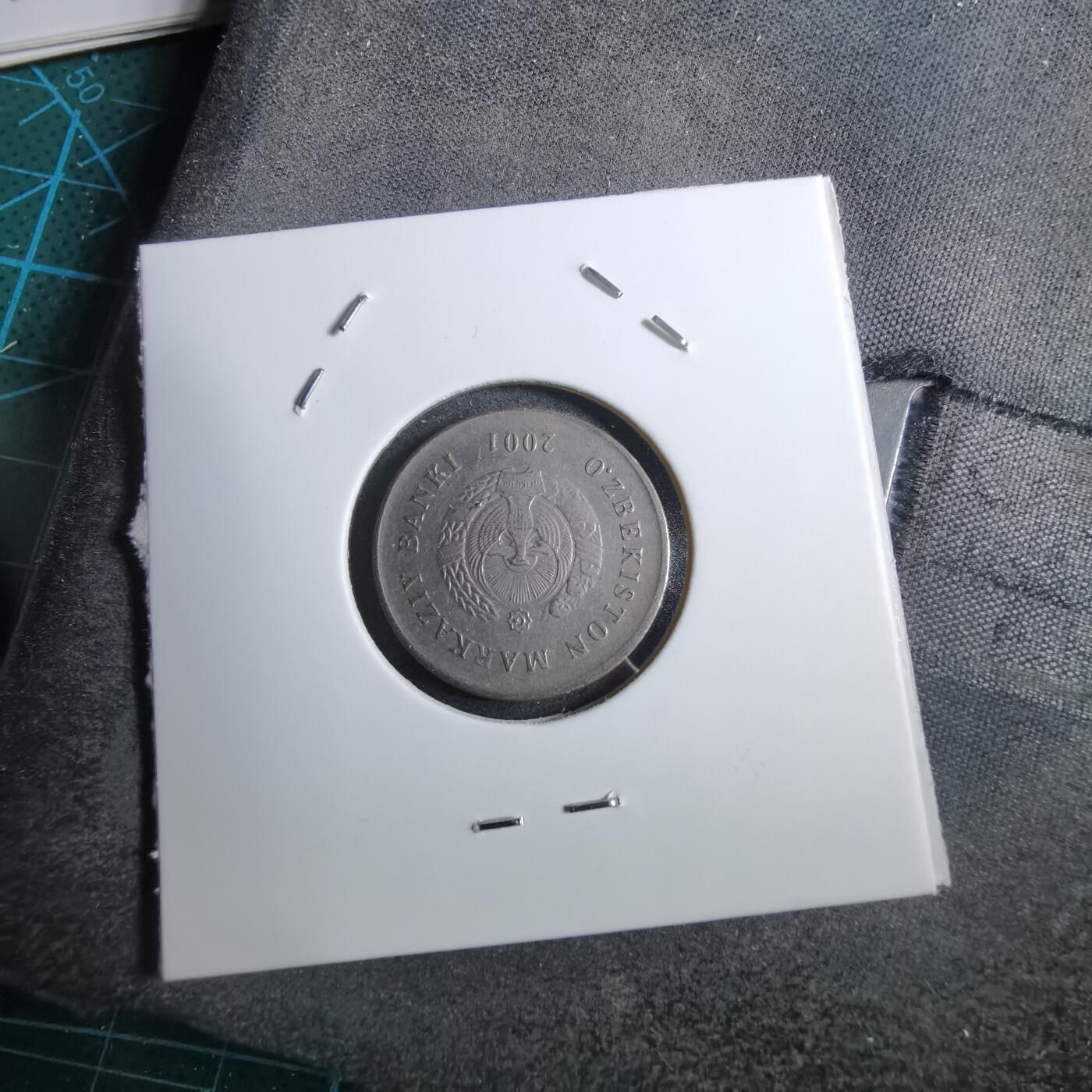 沼泽如烟--第892场