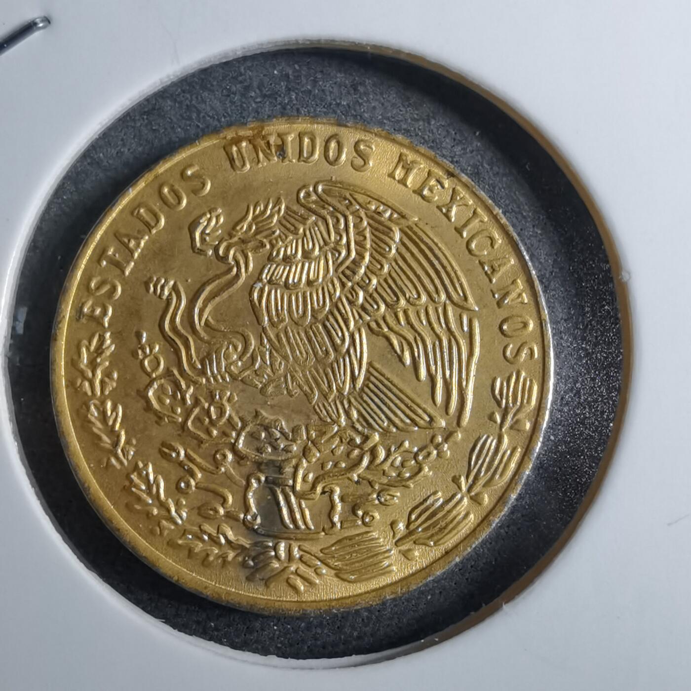 沼泽如烟--第892场