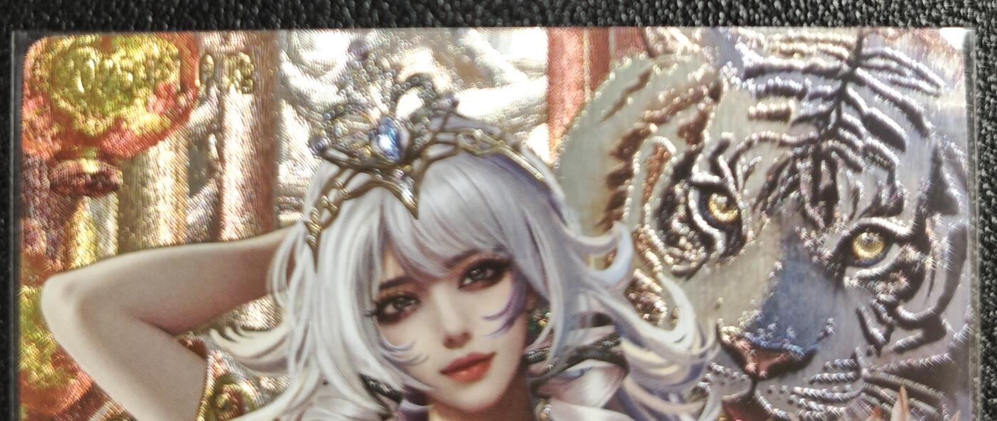 天玑星卡拍第135期《11.6周四截拍》持续收拍收评中 满赠卡需备注