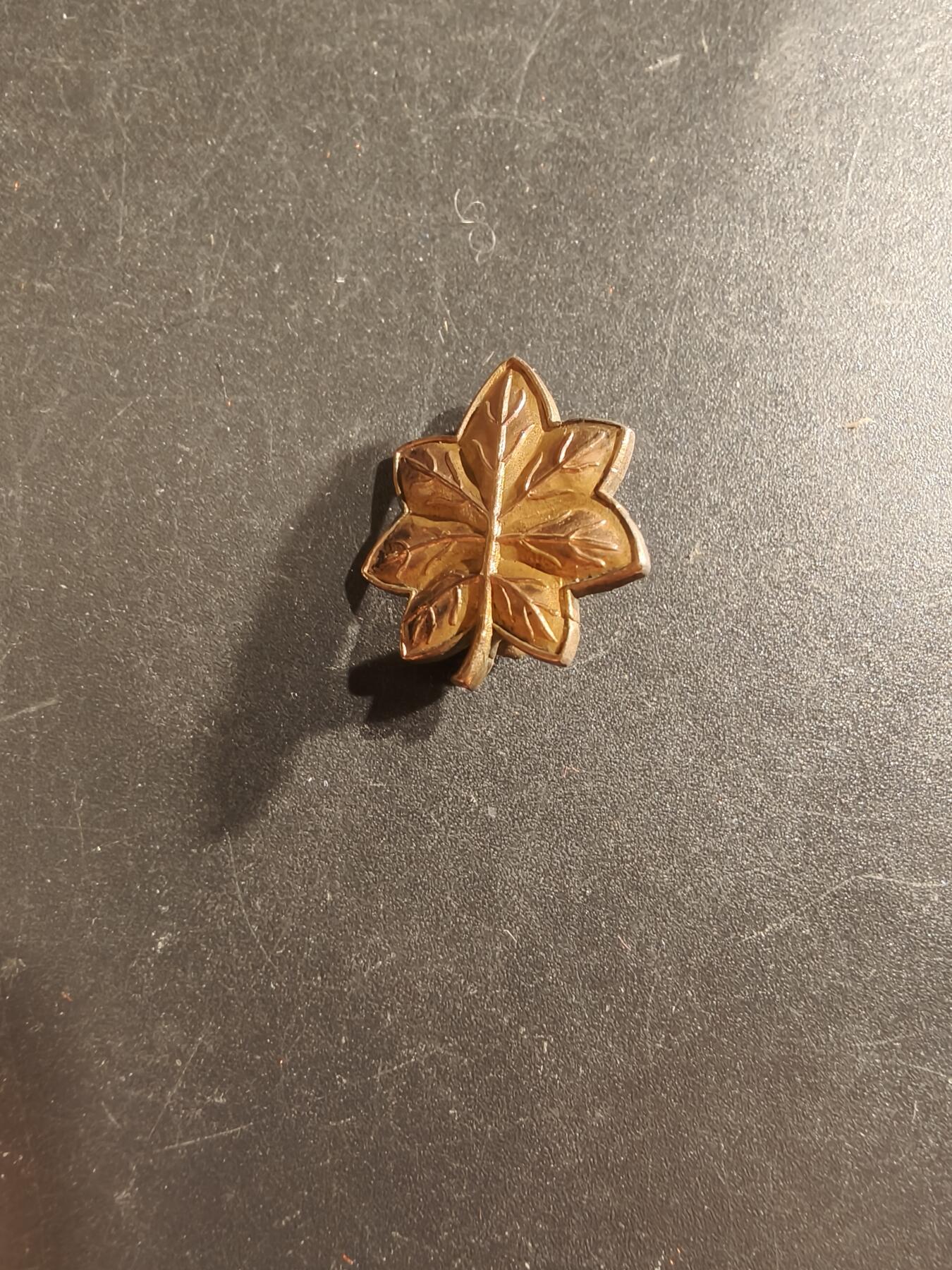 老王徽章第161期