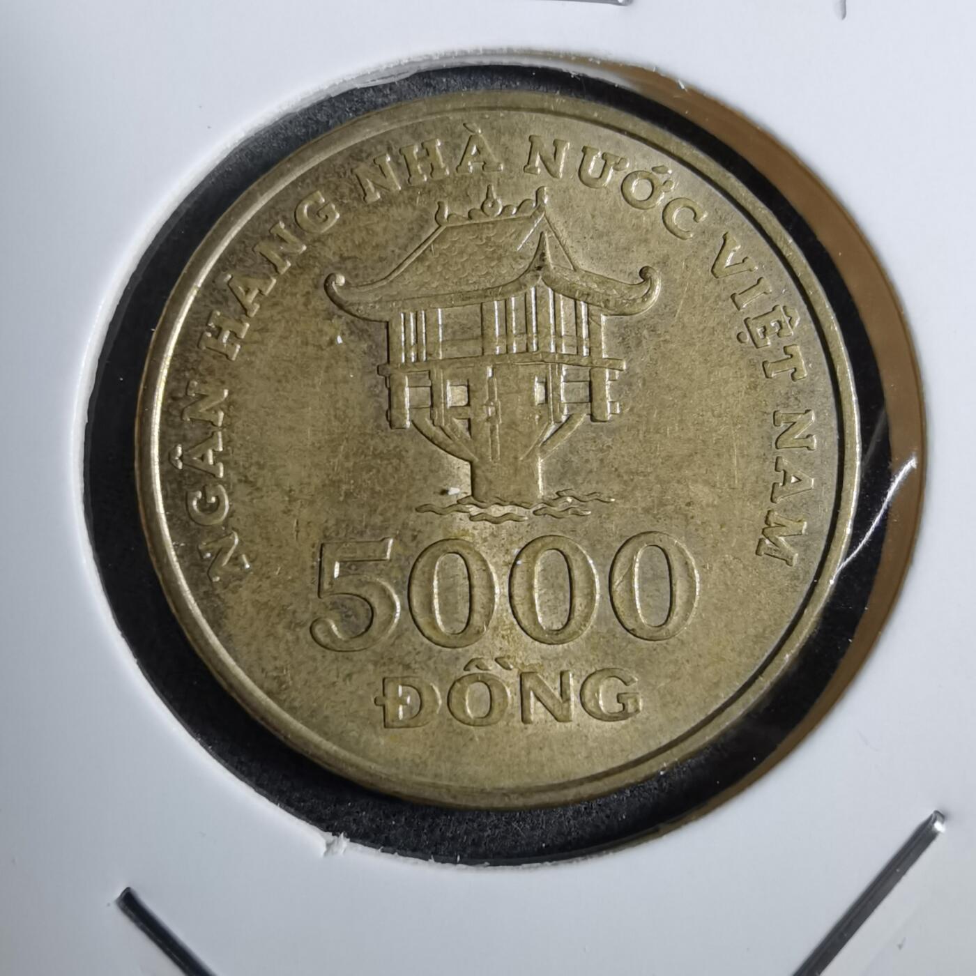 沼泽如烟--第892场