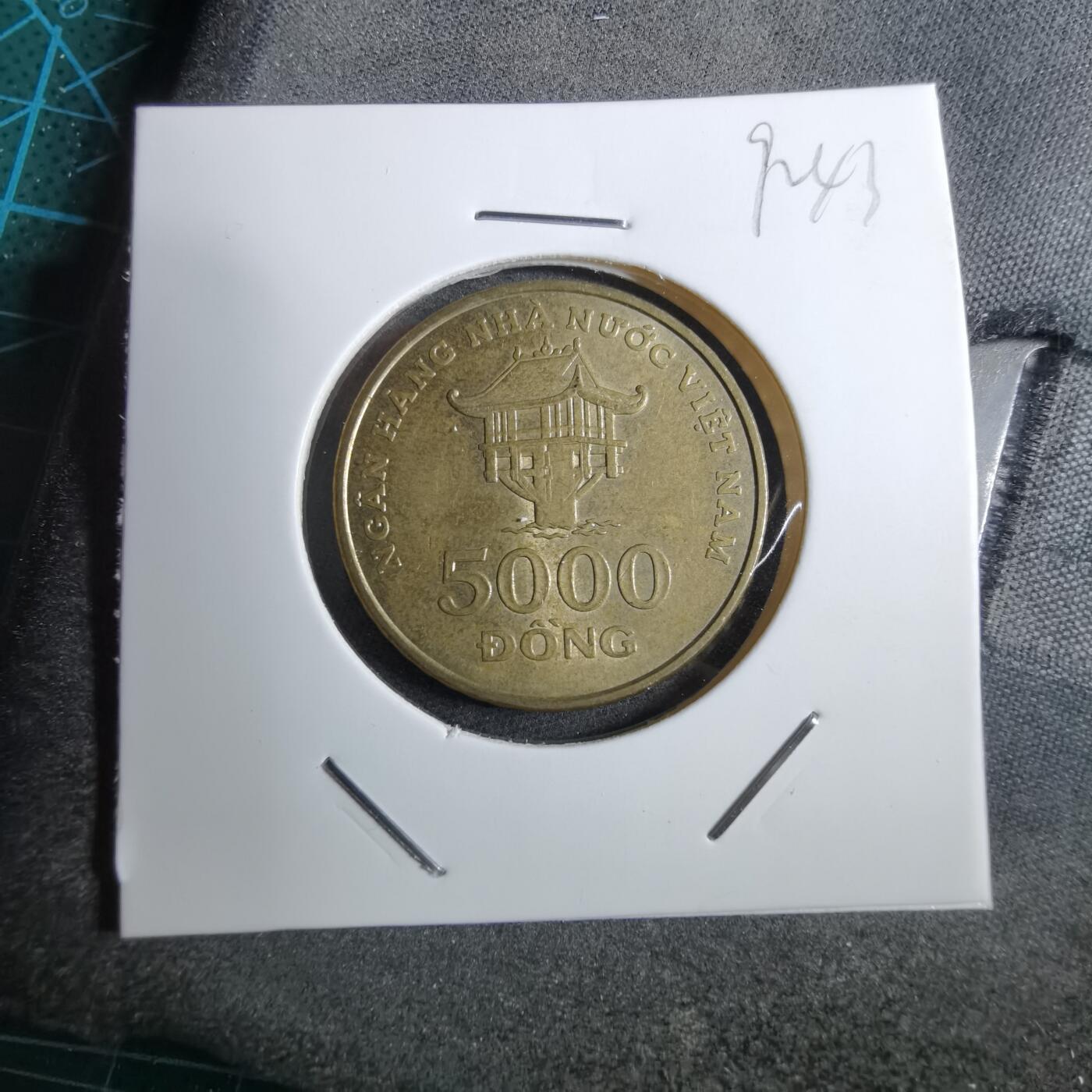 沼泽如烟--第892场