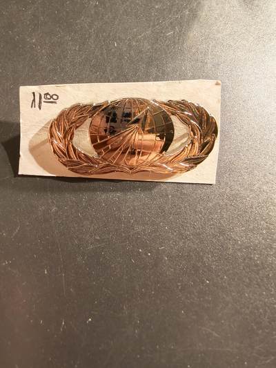 老王徽章第161期 - 美国空军技术专家技能章