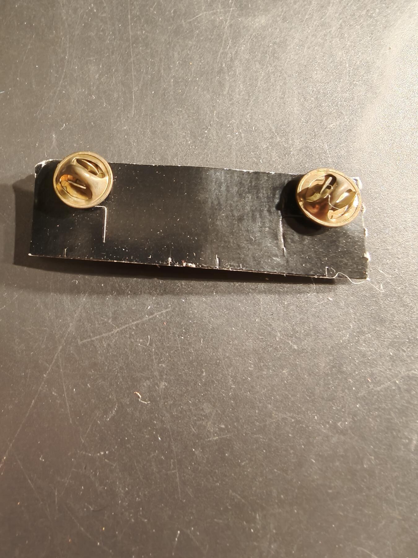 老王徽章第161期 美国空军机组人员技能章        2.5英寸