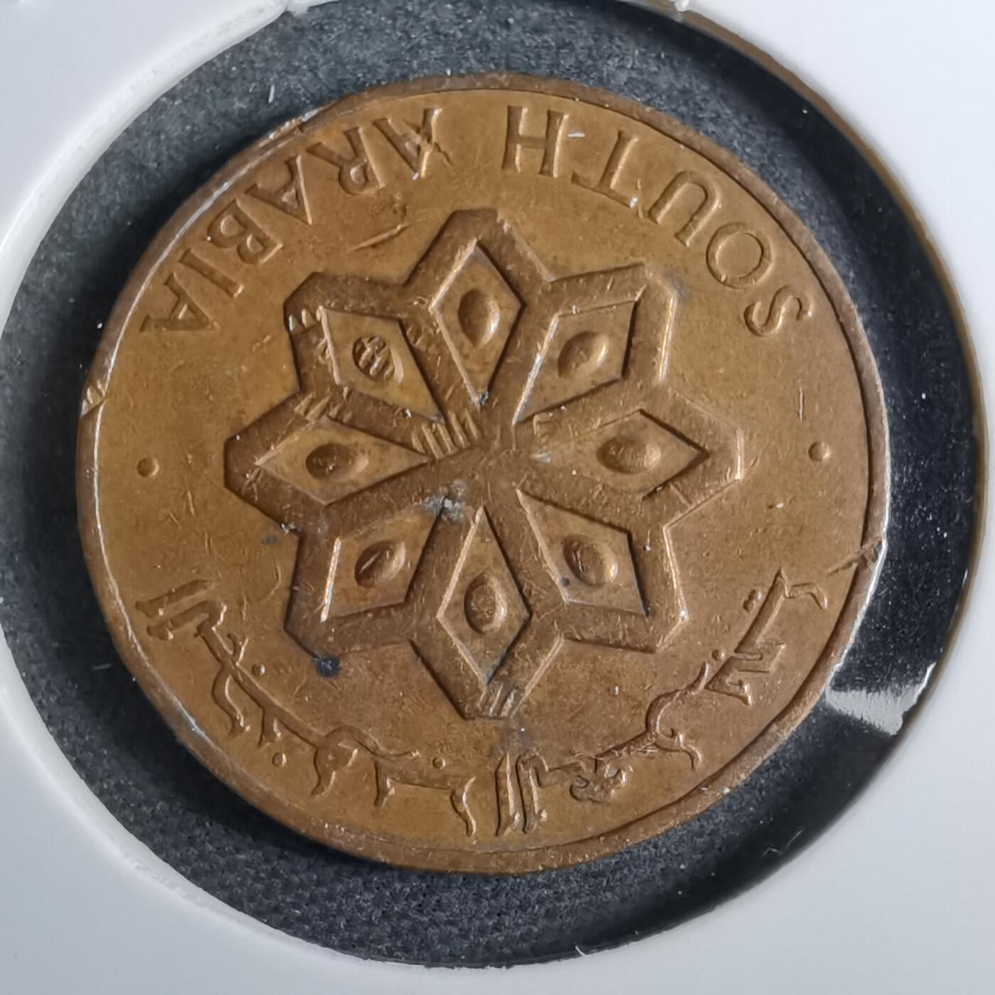 沼泽如烟--第892场