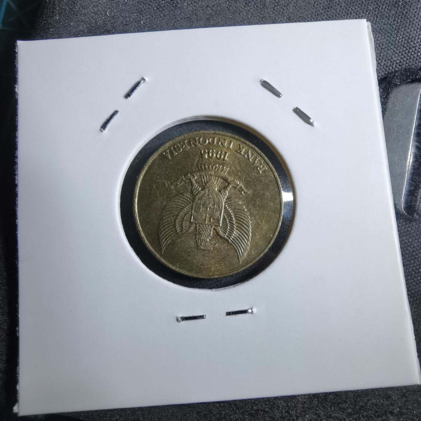 沼泽如烟--第892场