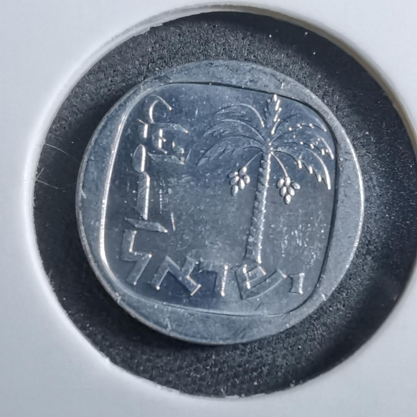 沼泽如烟--第892场