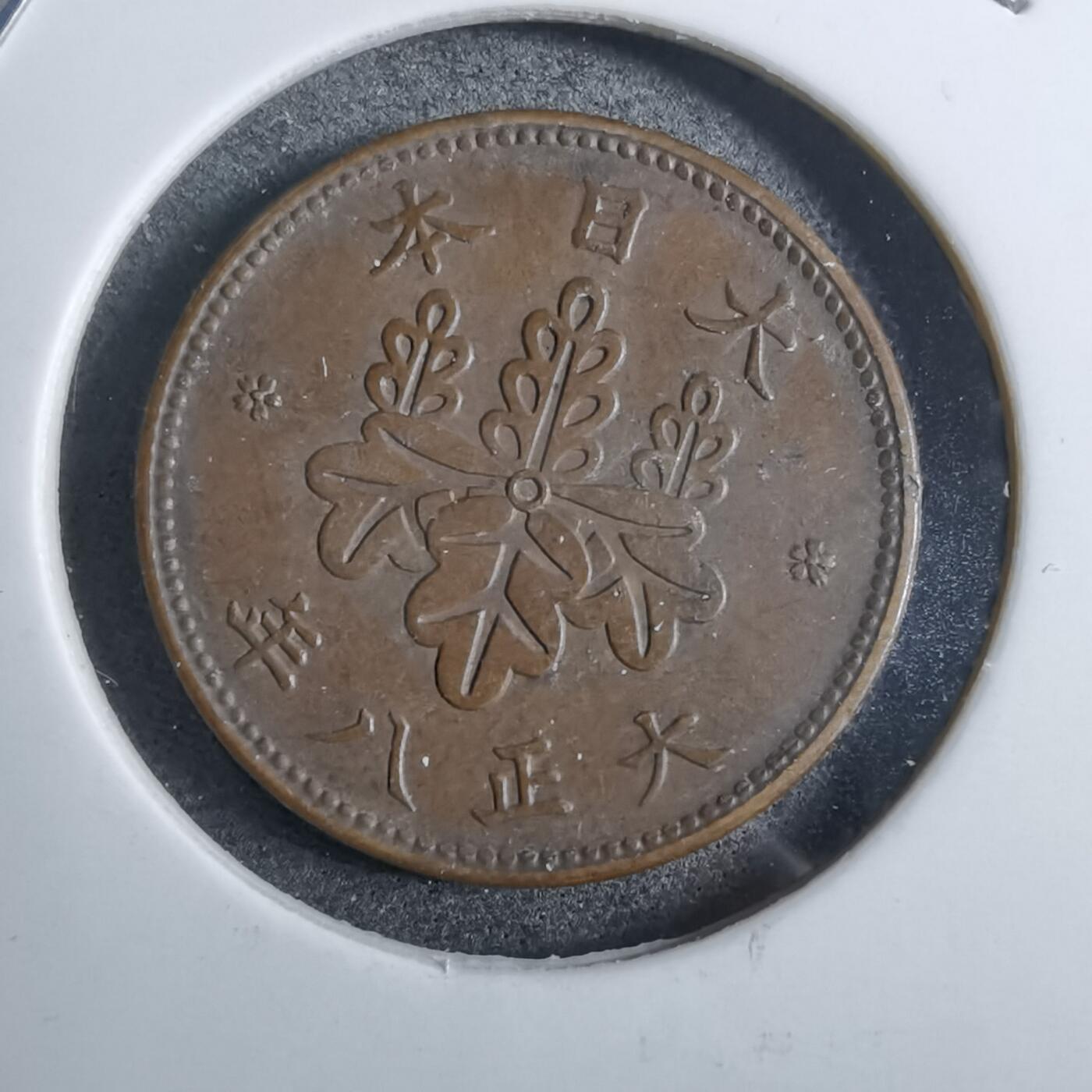 沼泽如烟--第892场