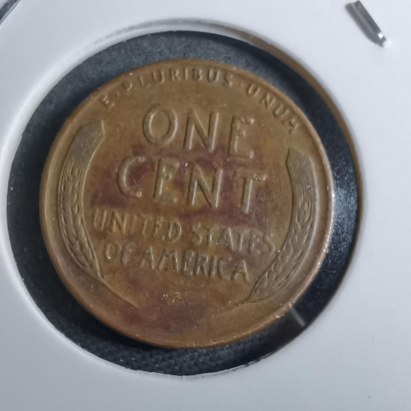 沼泽如烟--第892场