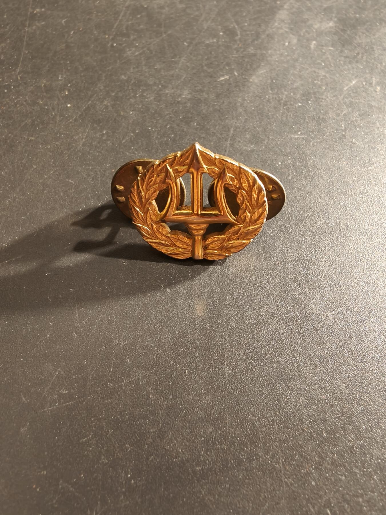 老王徽章第161期 美国海军岸上指挥领章