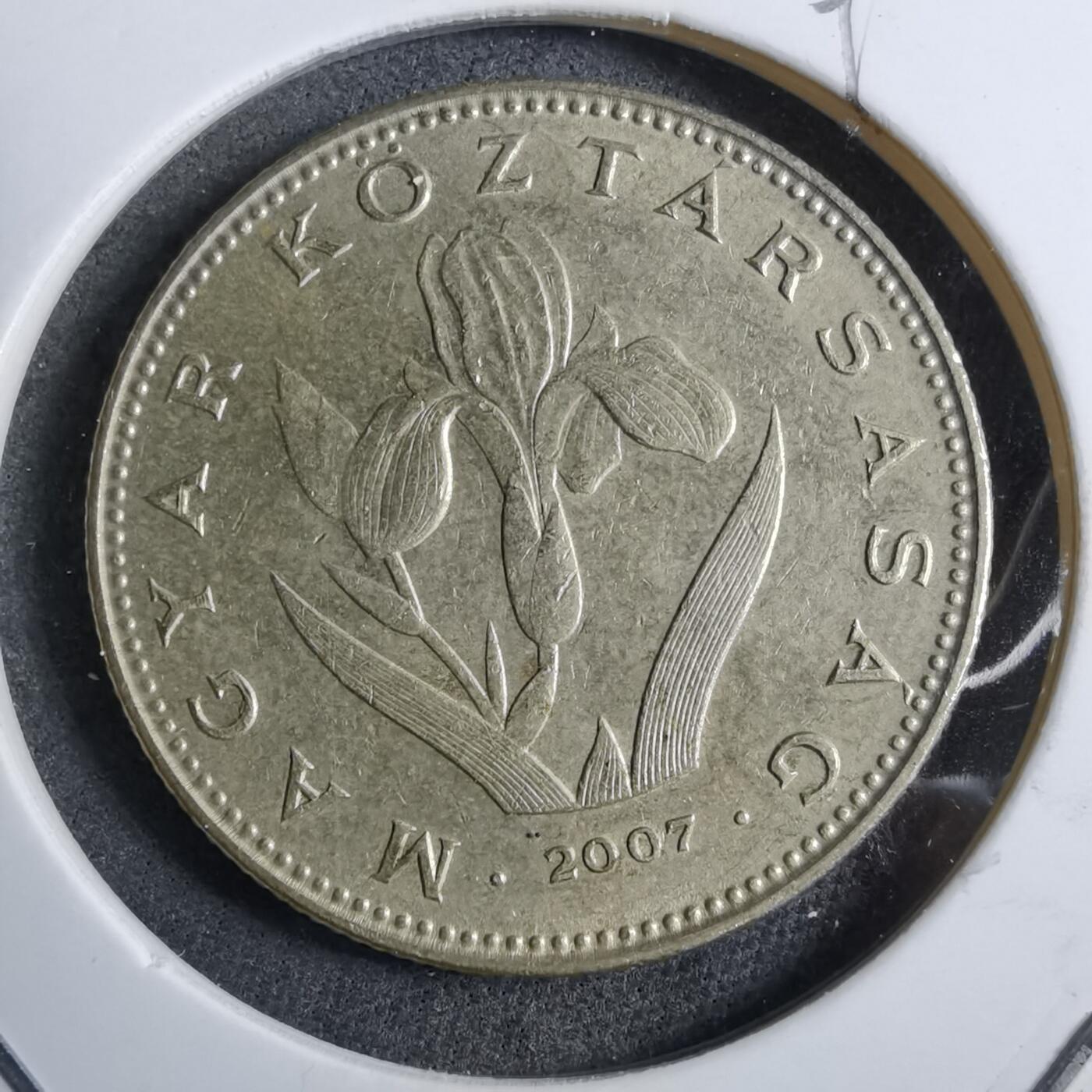 沼泽如烟--第892场