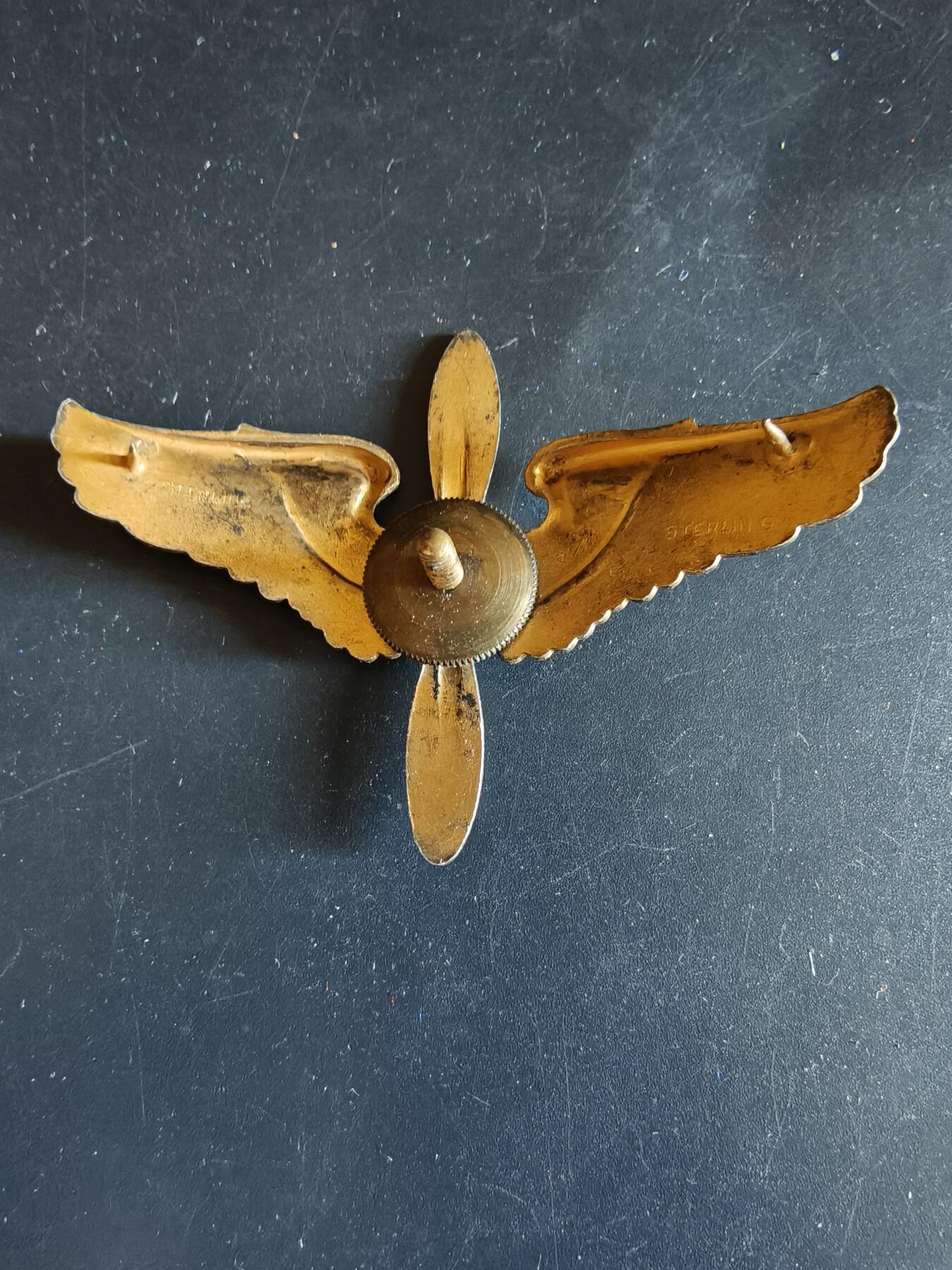 老王徽章第161期