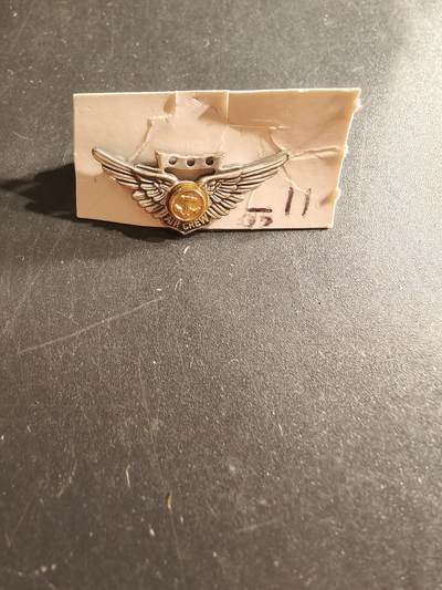 老王徽章第161期 - 美国海军航空兵战斗机组人员技能章      1英寸