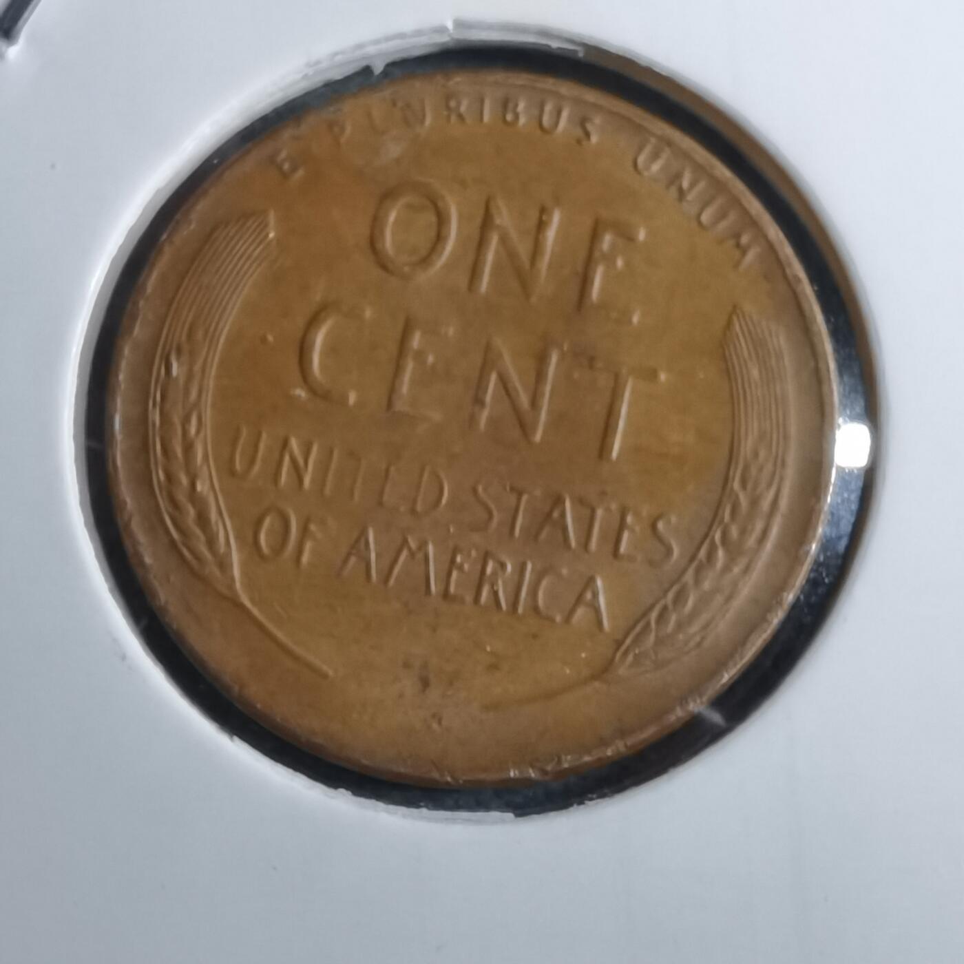 沼泽如烟--第892场