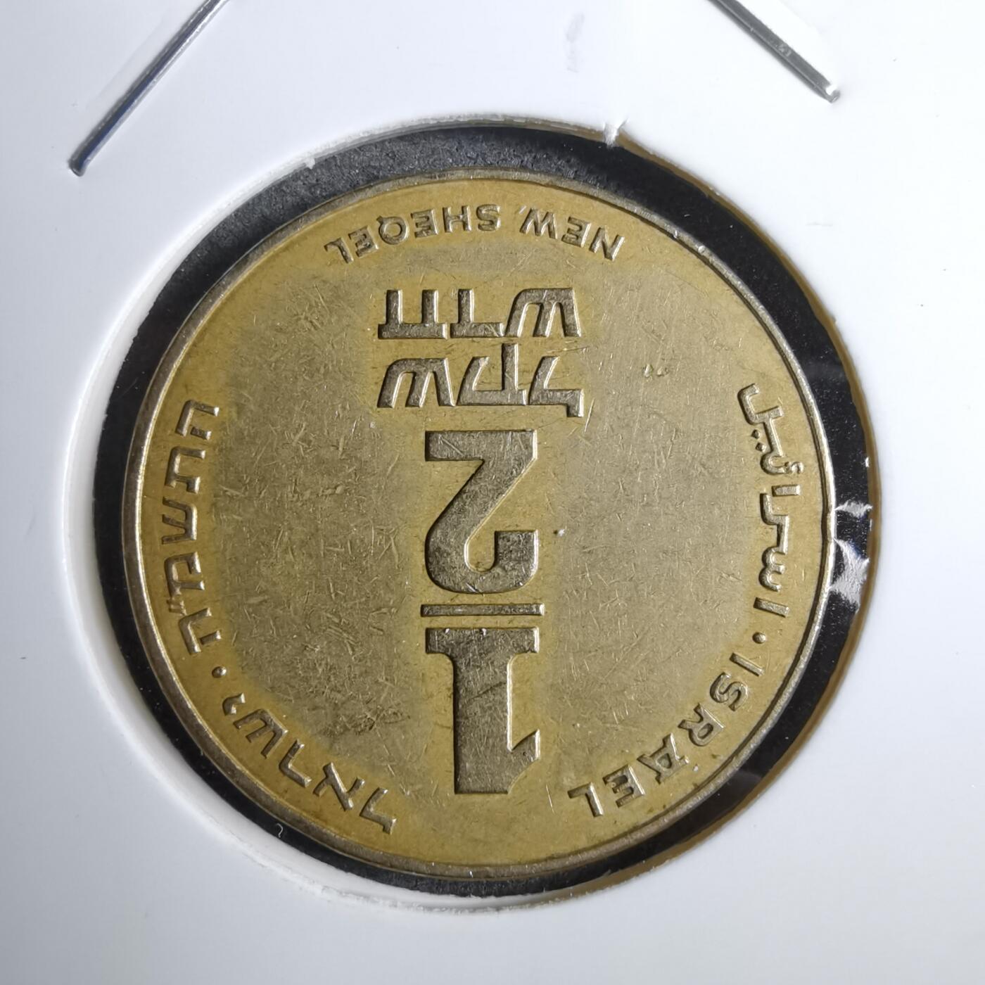 沼泽如烟--第892场