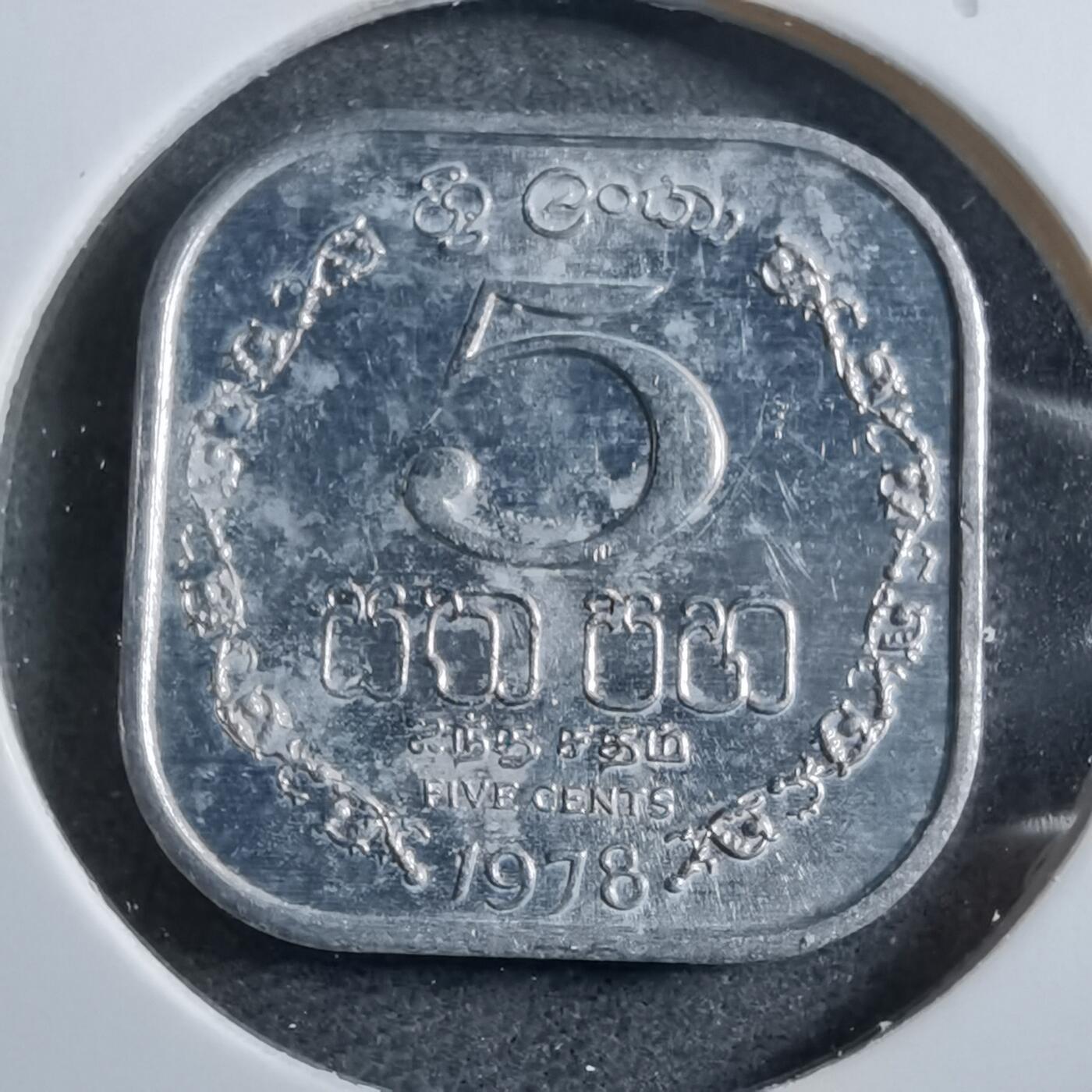 沼泽如烟--第892场