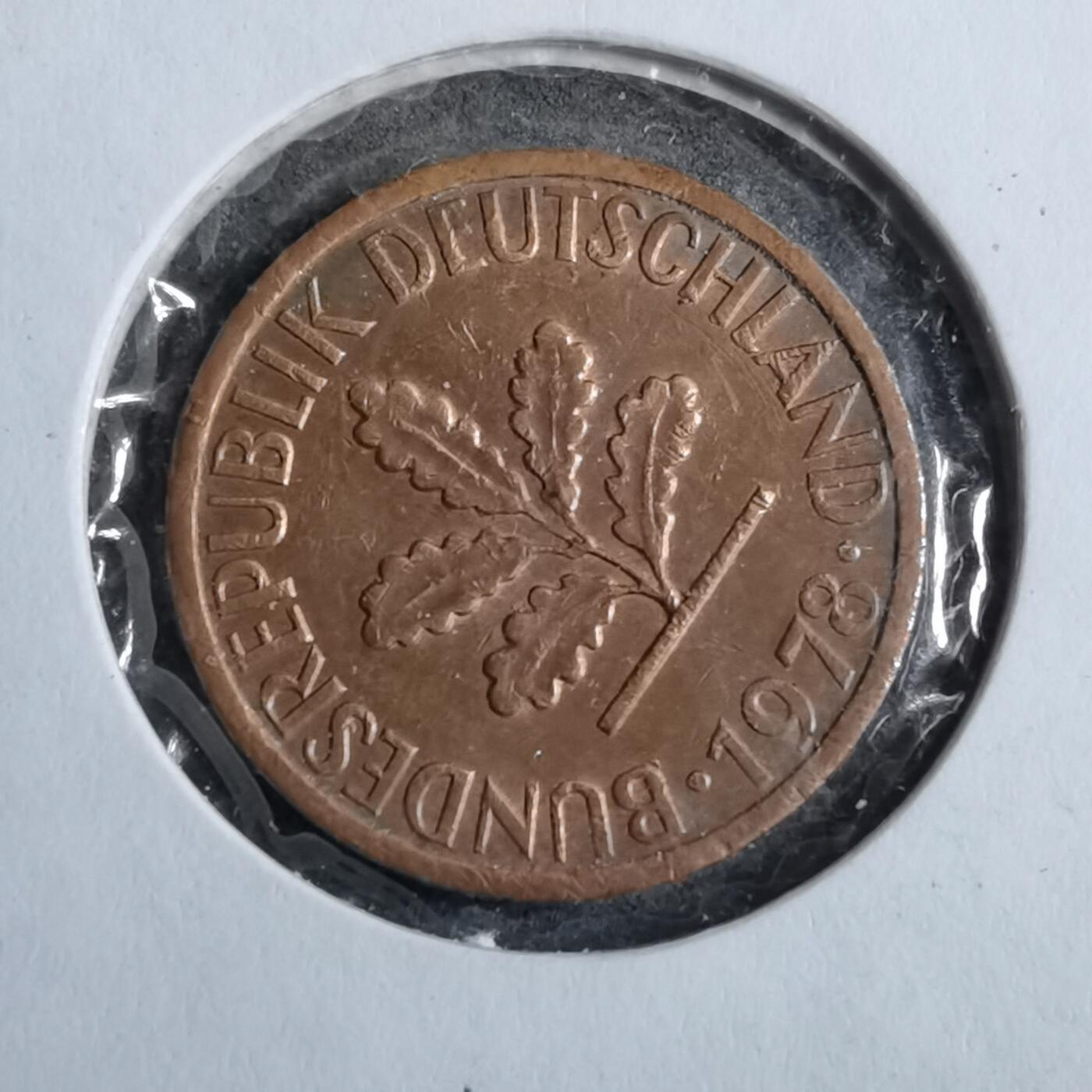 沼泽如烟--第892场