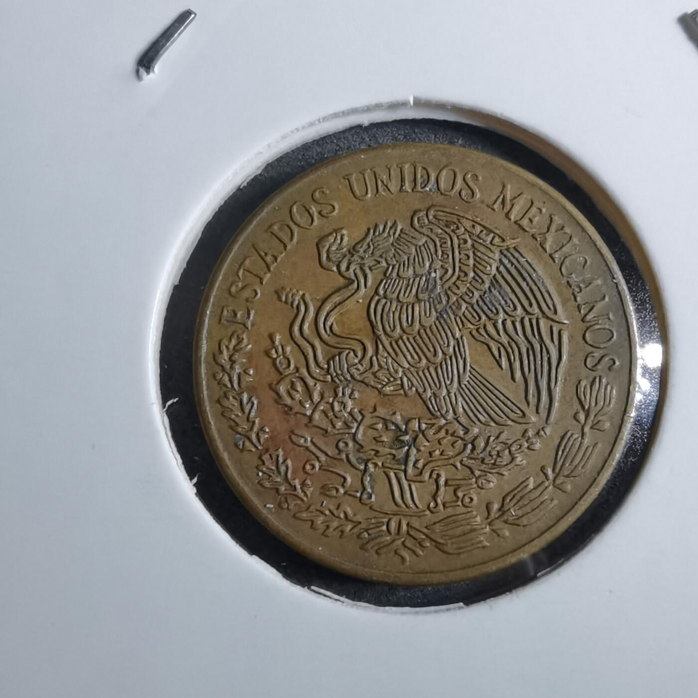 沼泽如烟--第892场