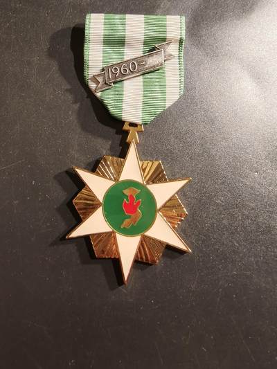 老王徽章第161期 - 南越越战战役奖章