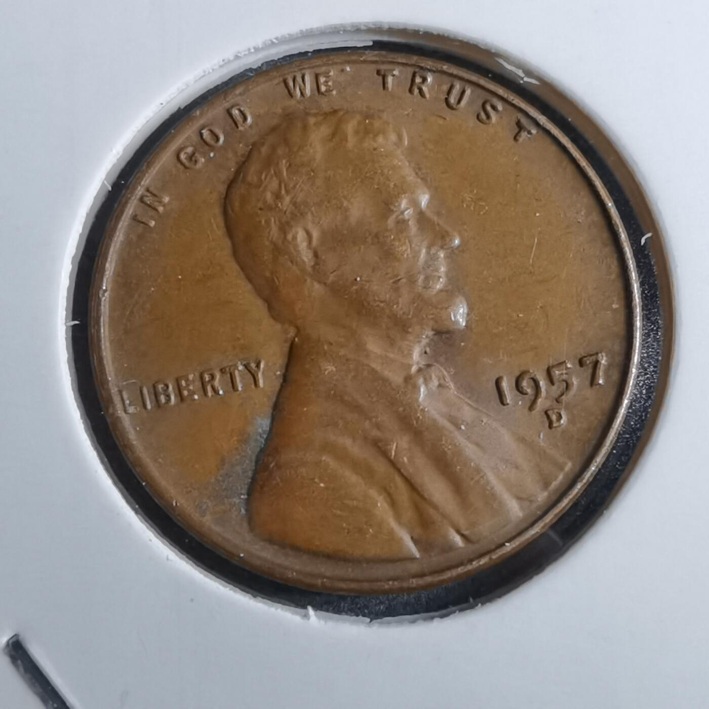 沼泽如烟--第892场