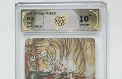 阳大大卡牌拍卖第80期（持续收拍品，周三晚上九点截拍，进群福利早知道）加场加场加场 - 【10星炫彩】焱卡文化 黑暗王朝 寅虎 085