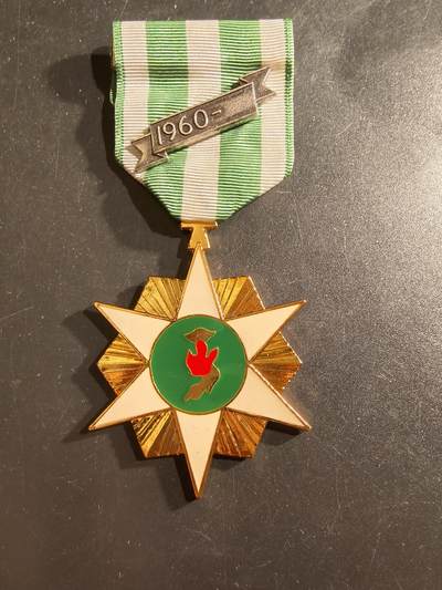 老王徽章第161期 - 南越越战战役奖章