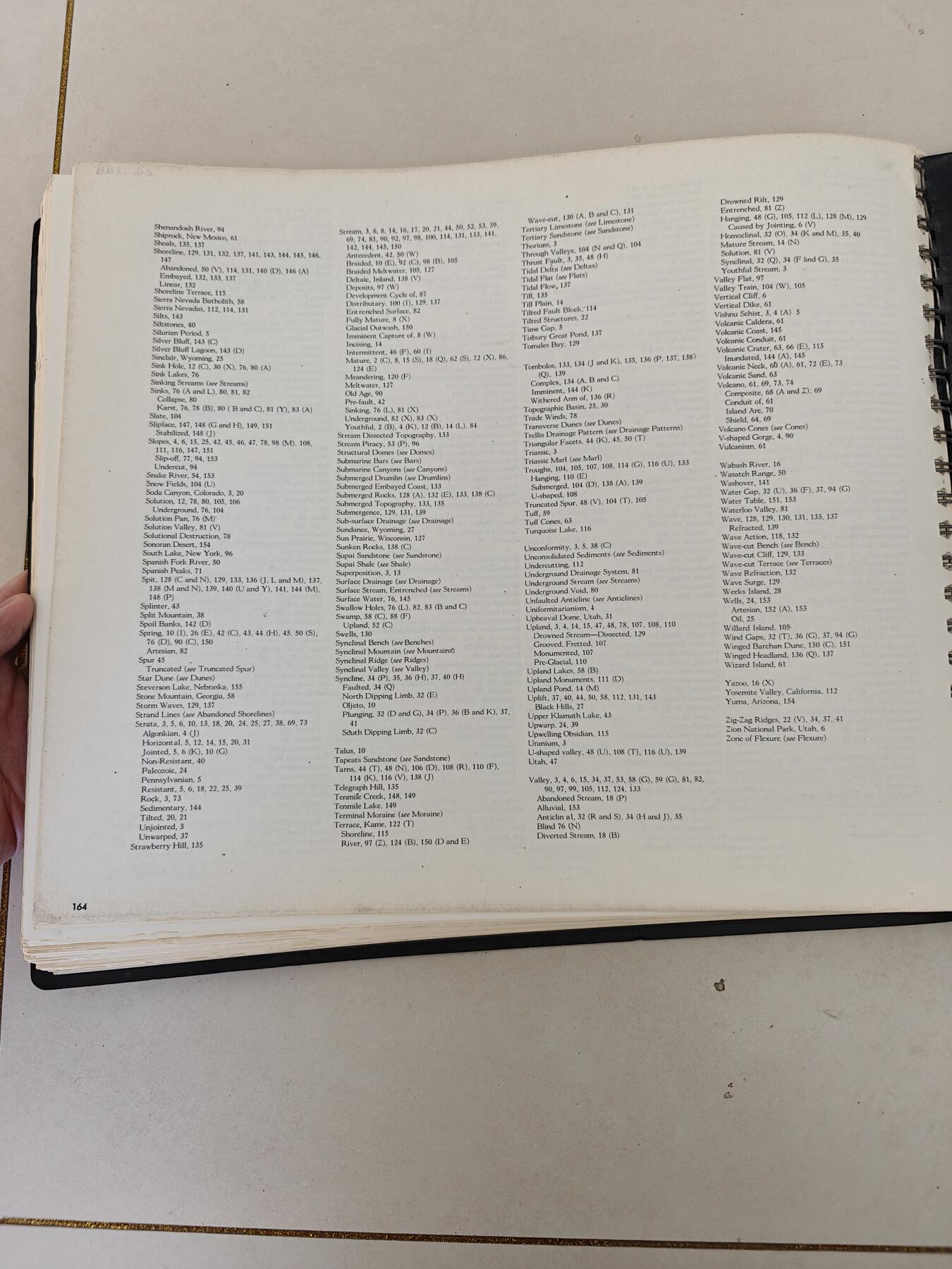 老王徽章第161期