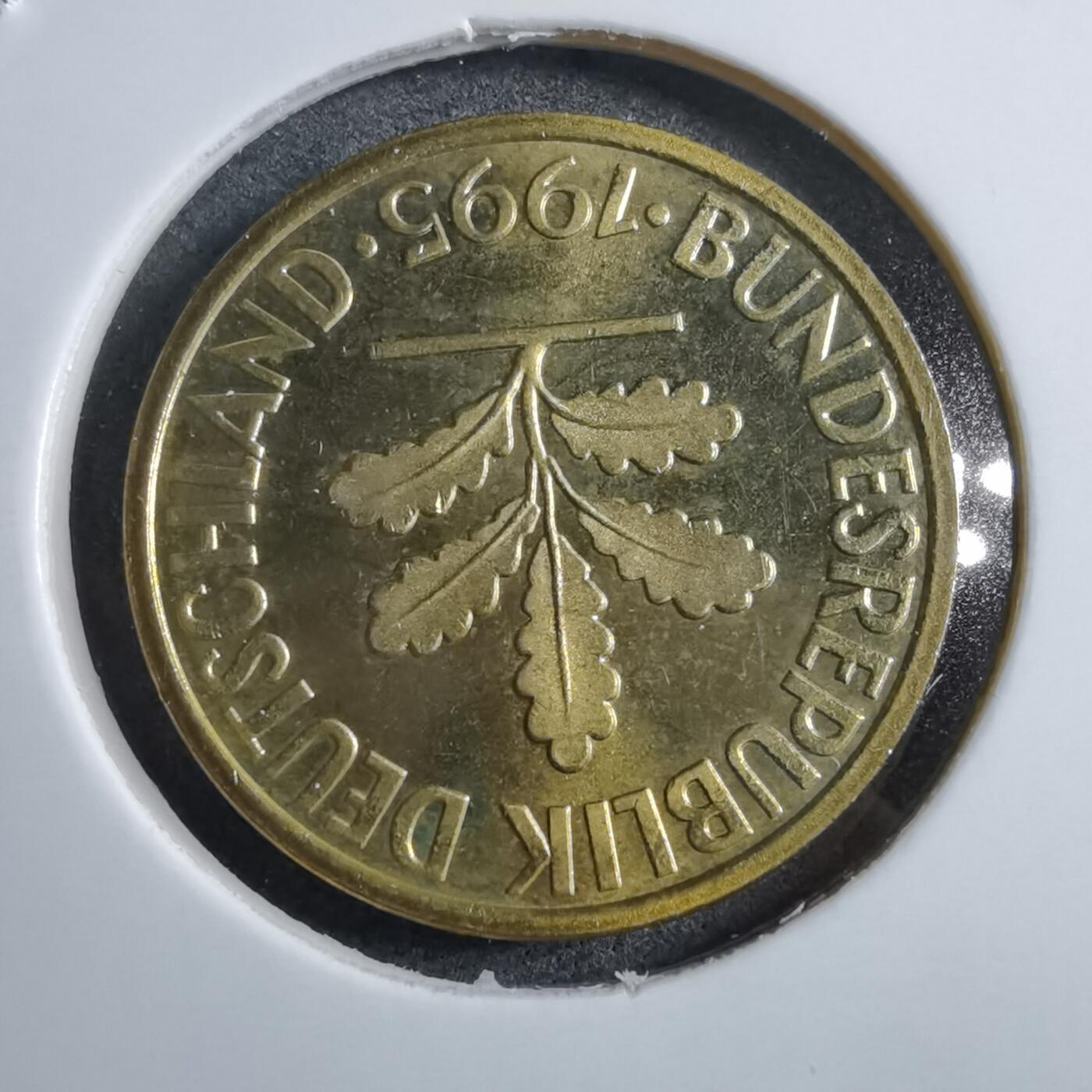 沼泽如烟--第892场