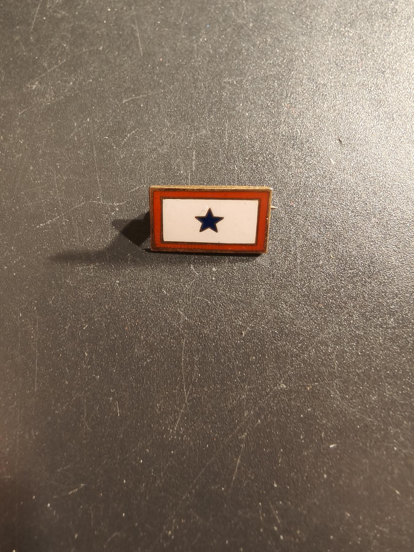 老王徽章第161期