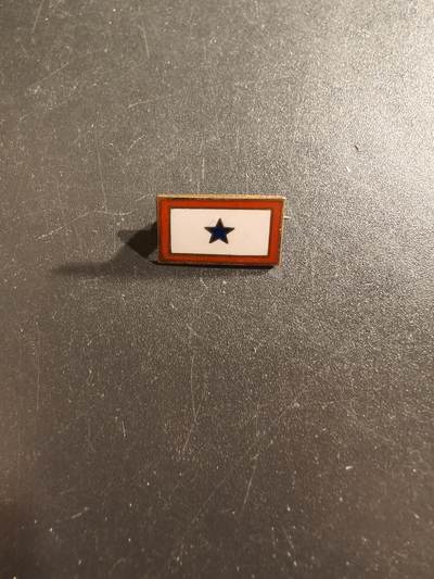 老王徽章第161期 - 美国二战时期蓝星服役证章     它是一种由军人家庭成员佩戴的徽章，代表有亲人在美国武装部队服役      925银质珐琅      0.9g