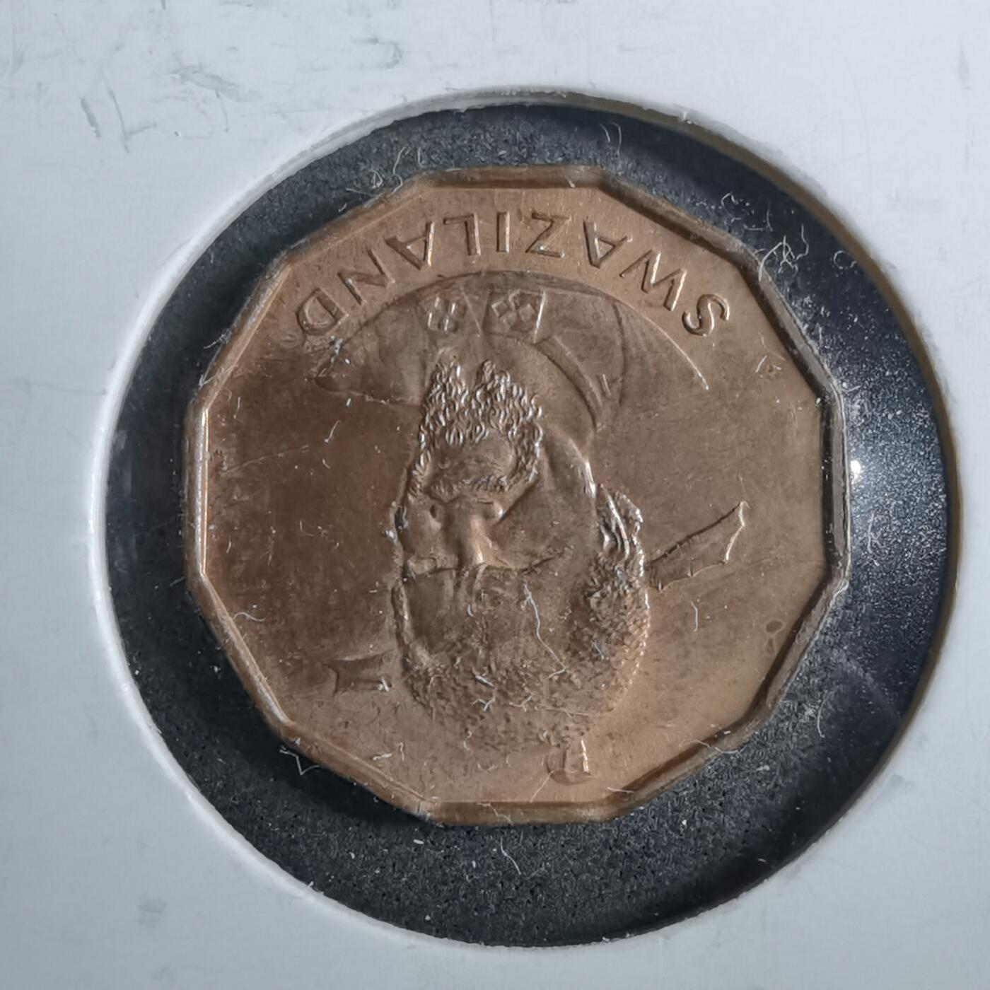 沼泽如烟--第892场