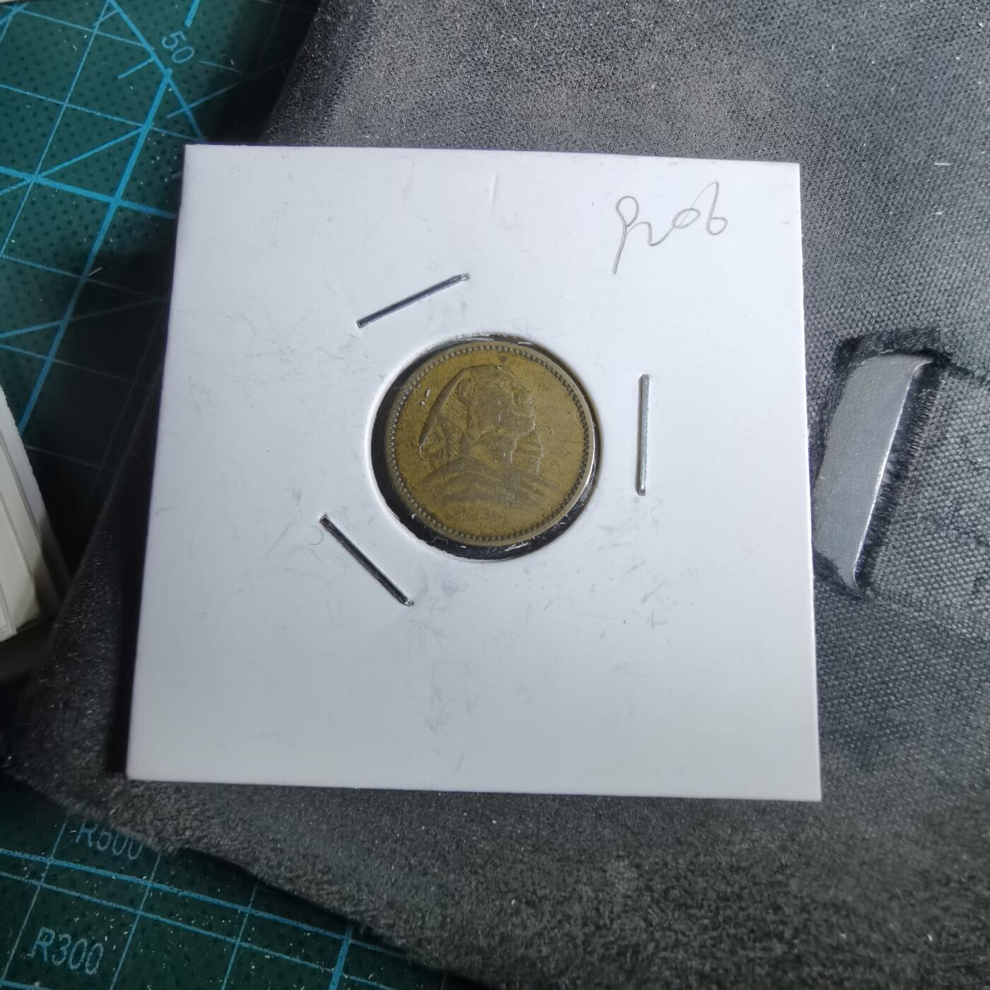 沼泽如烟--第892场