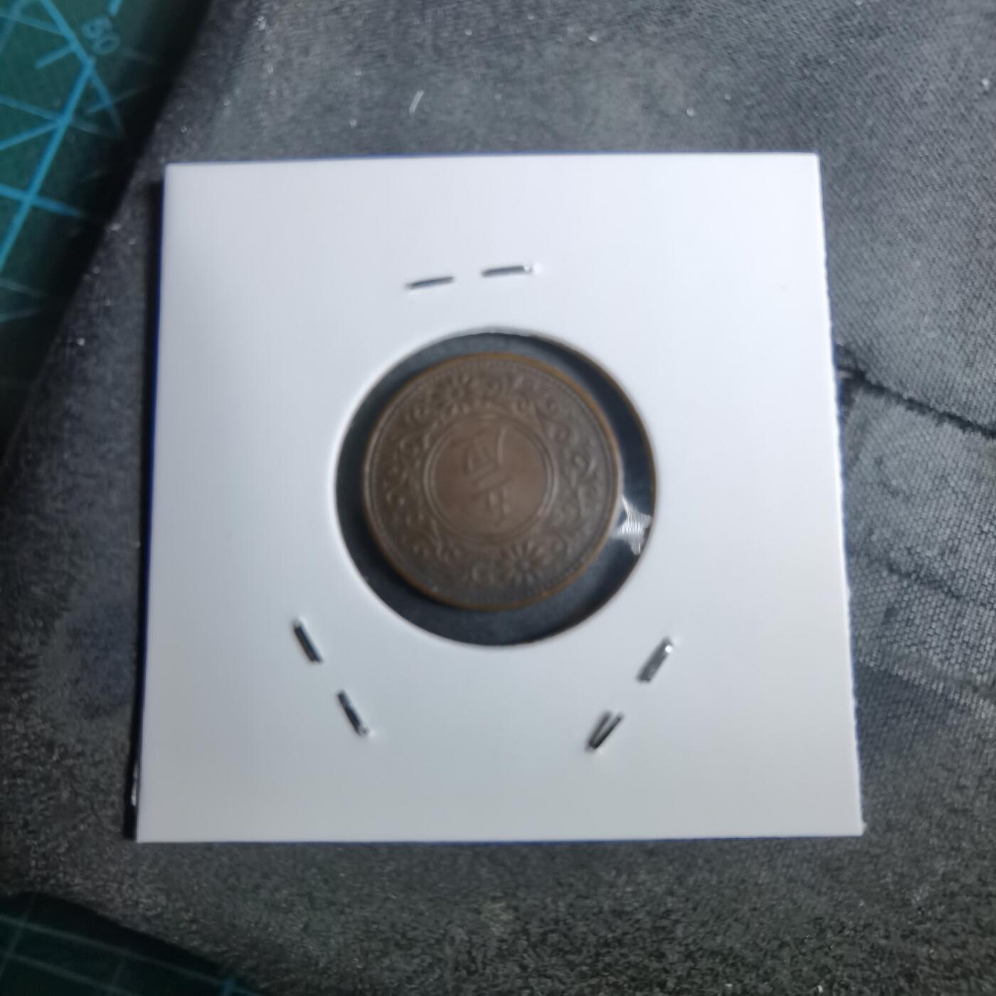 沼泽如烟--第892场