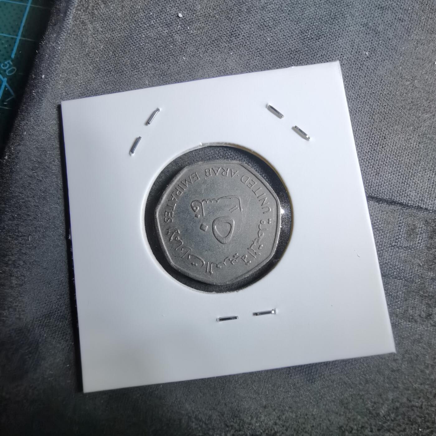 沼泽如烟--第892场