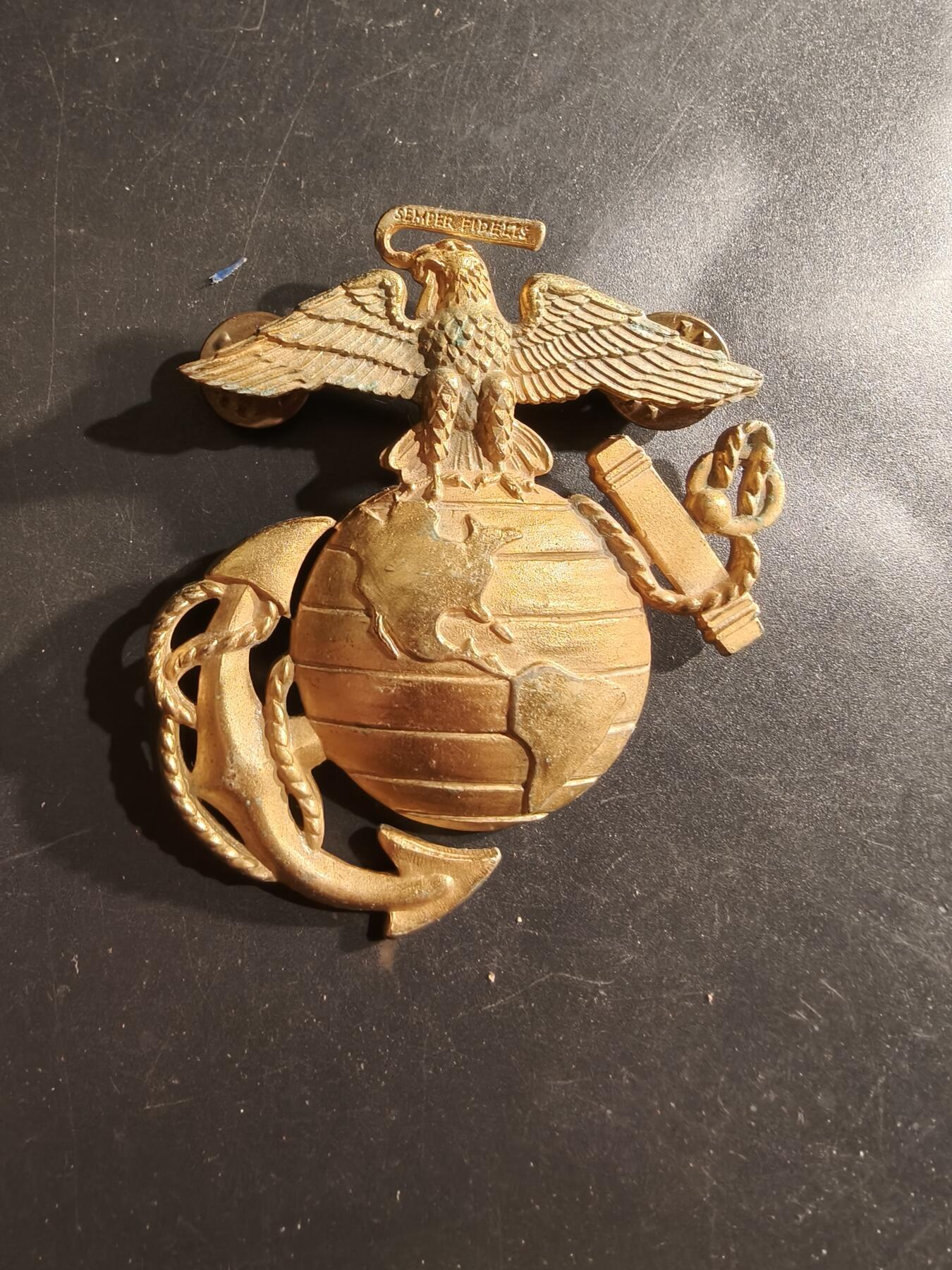 老王徽章第161期