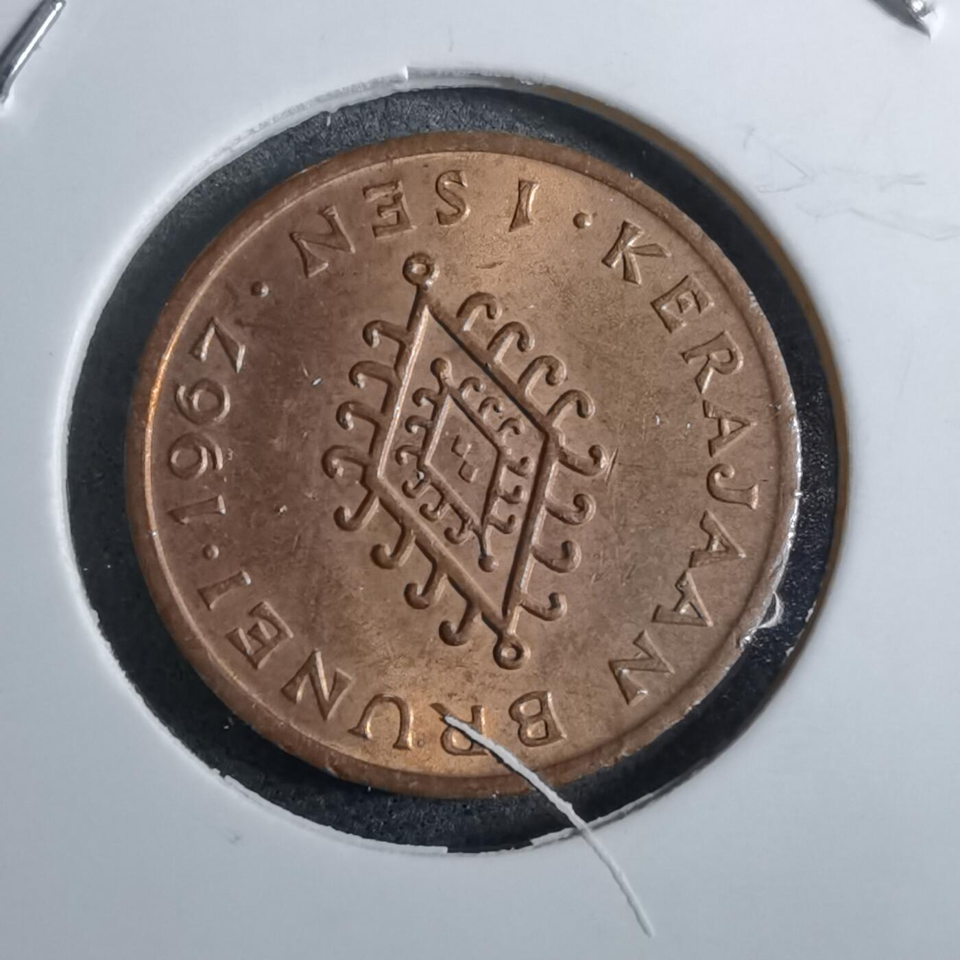 沼泽如烟--第892场