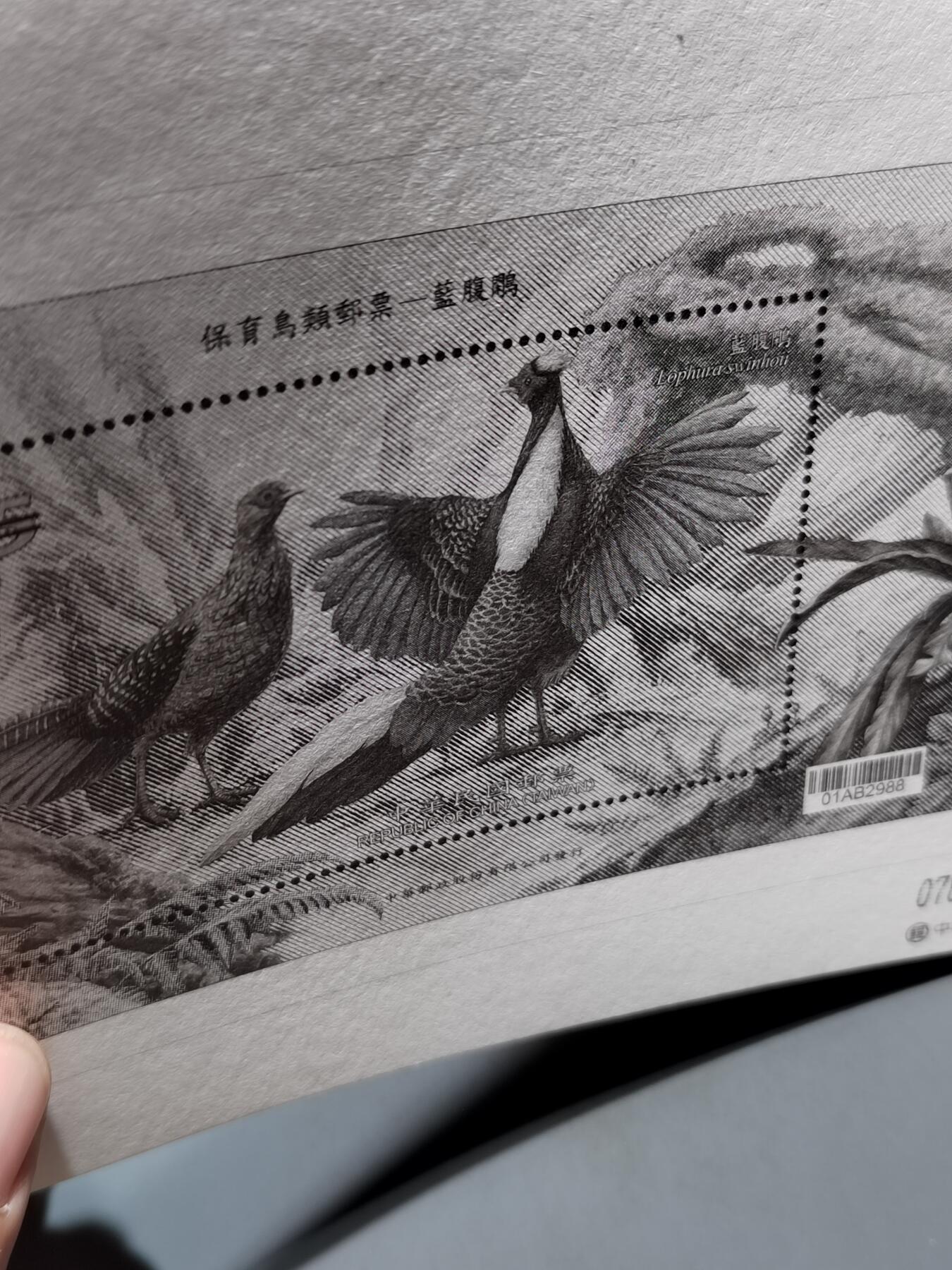 PCAI钱币6-583 中国台湾省邮票小专场 鸟