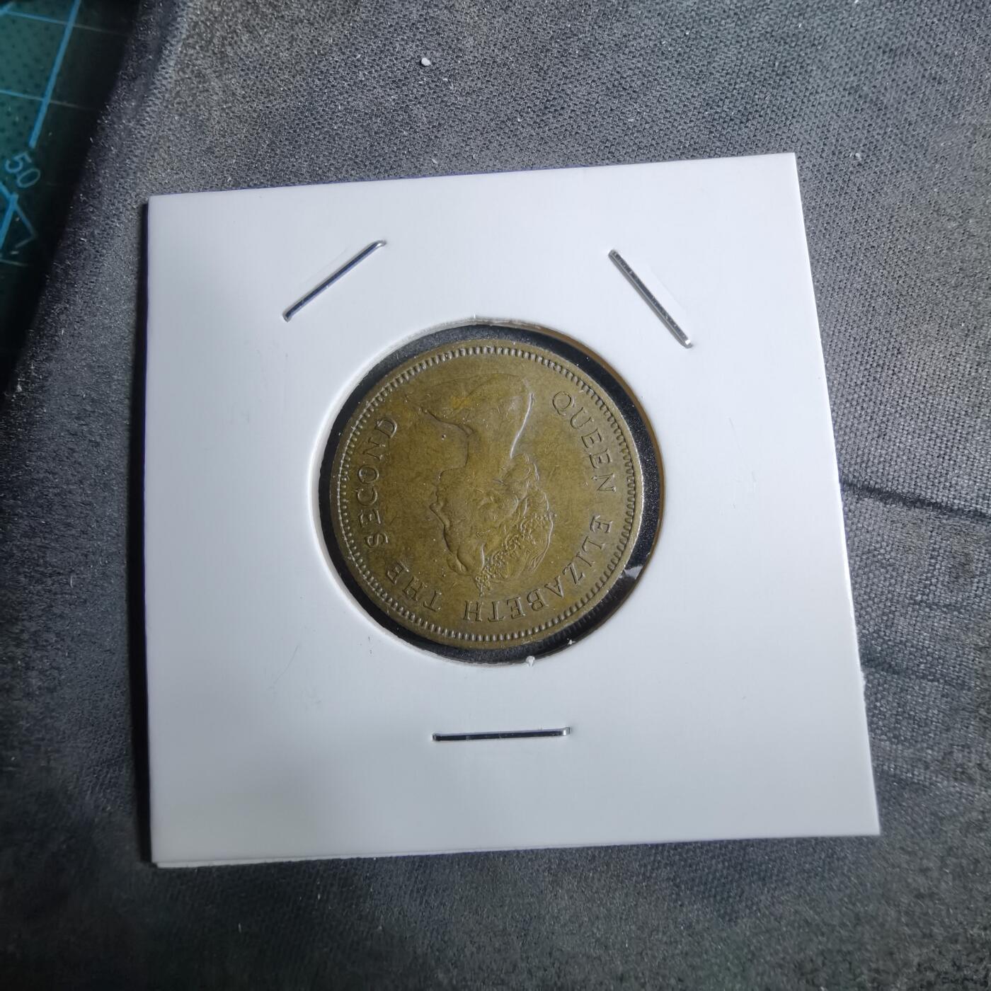 沼泽如烟--第892场