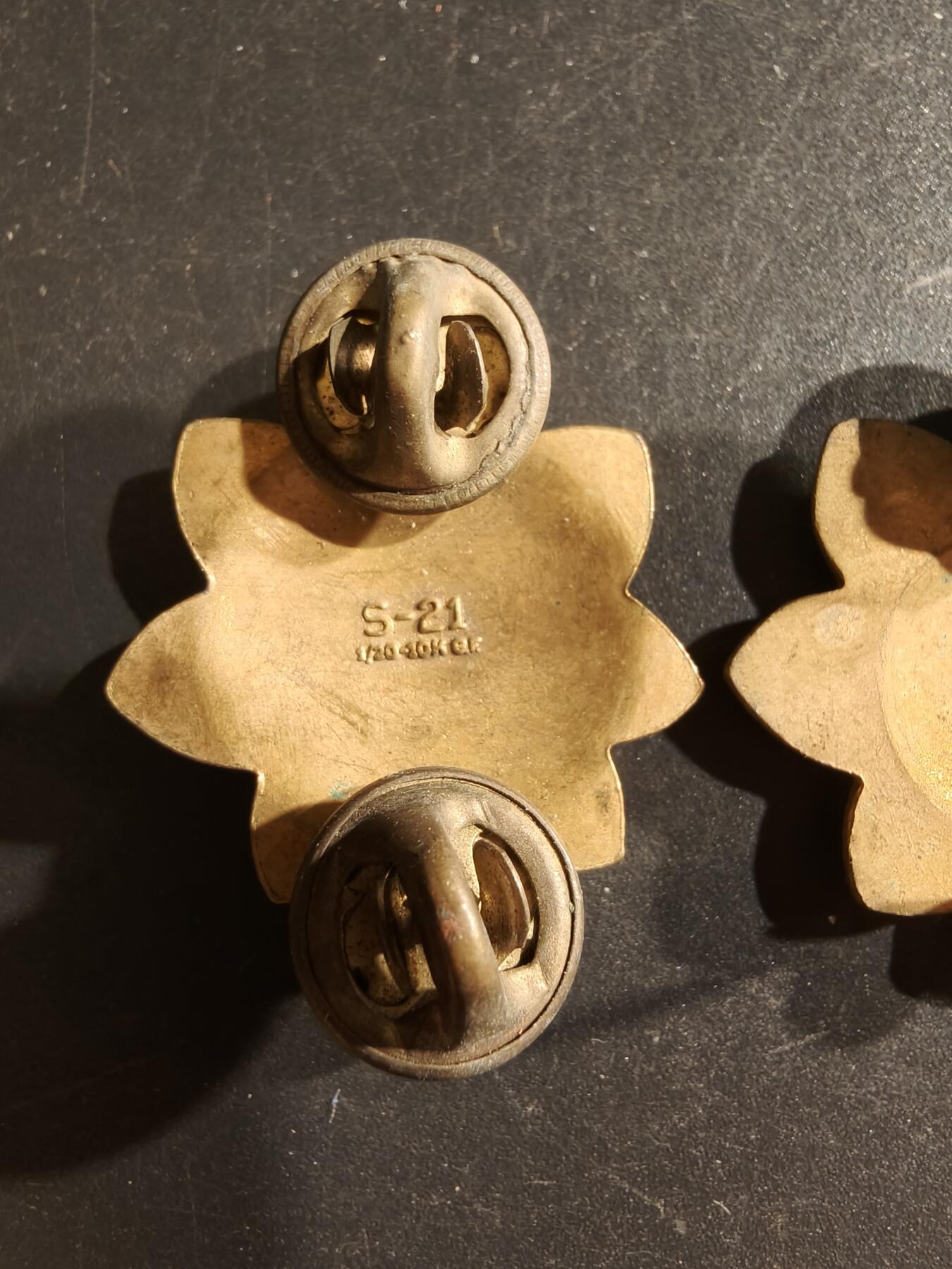 老王徽章第161期