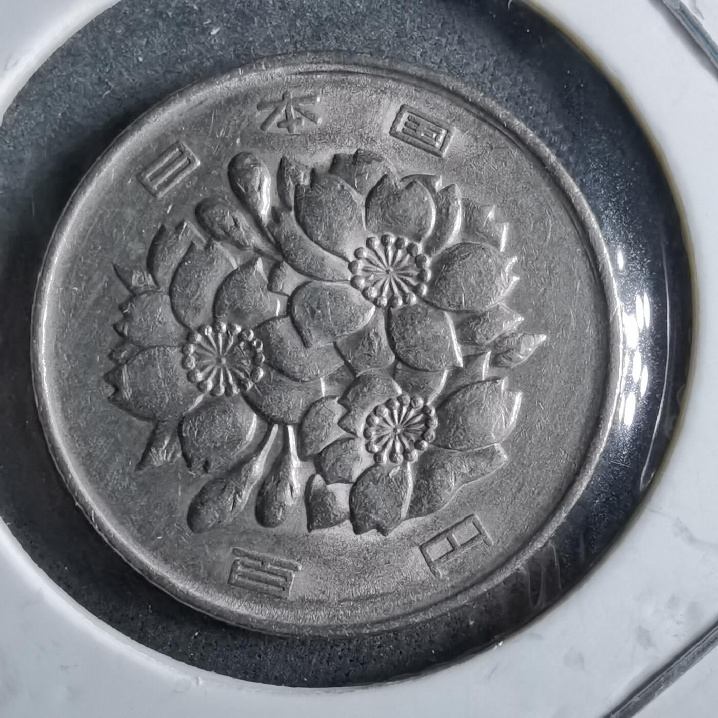 沼泽如烟--第891场