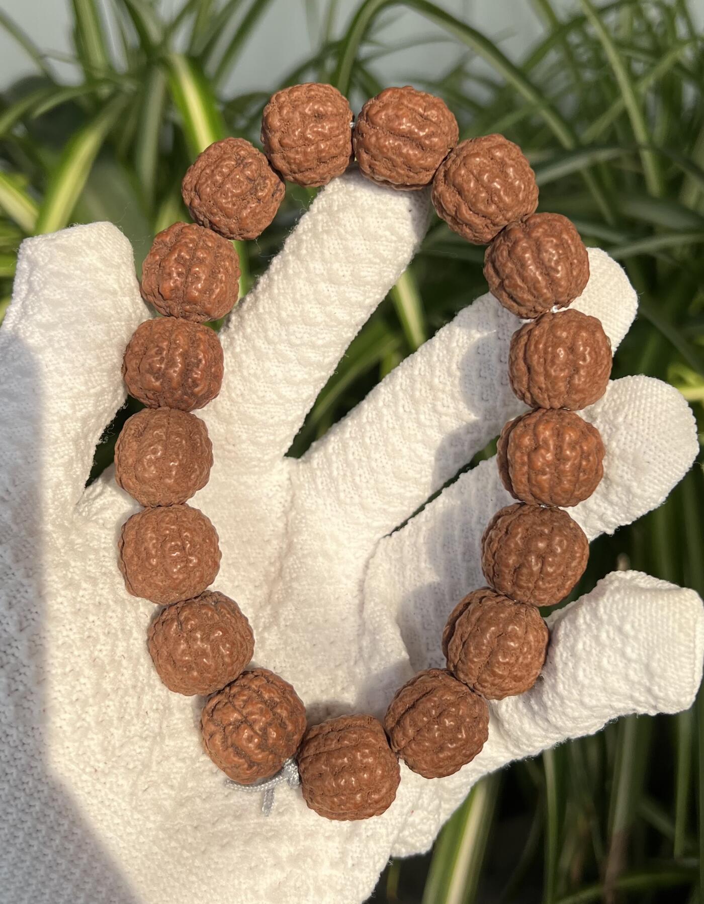 零元拍：碧根果 纯原生态金刚手持 17/18 超肉头 上手就红