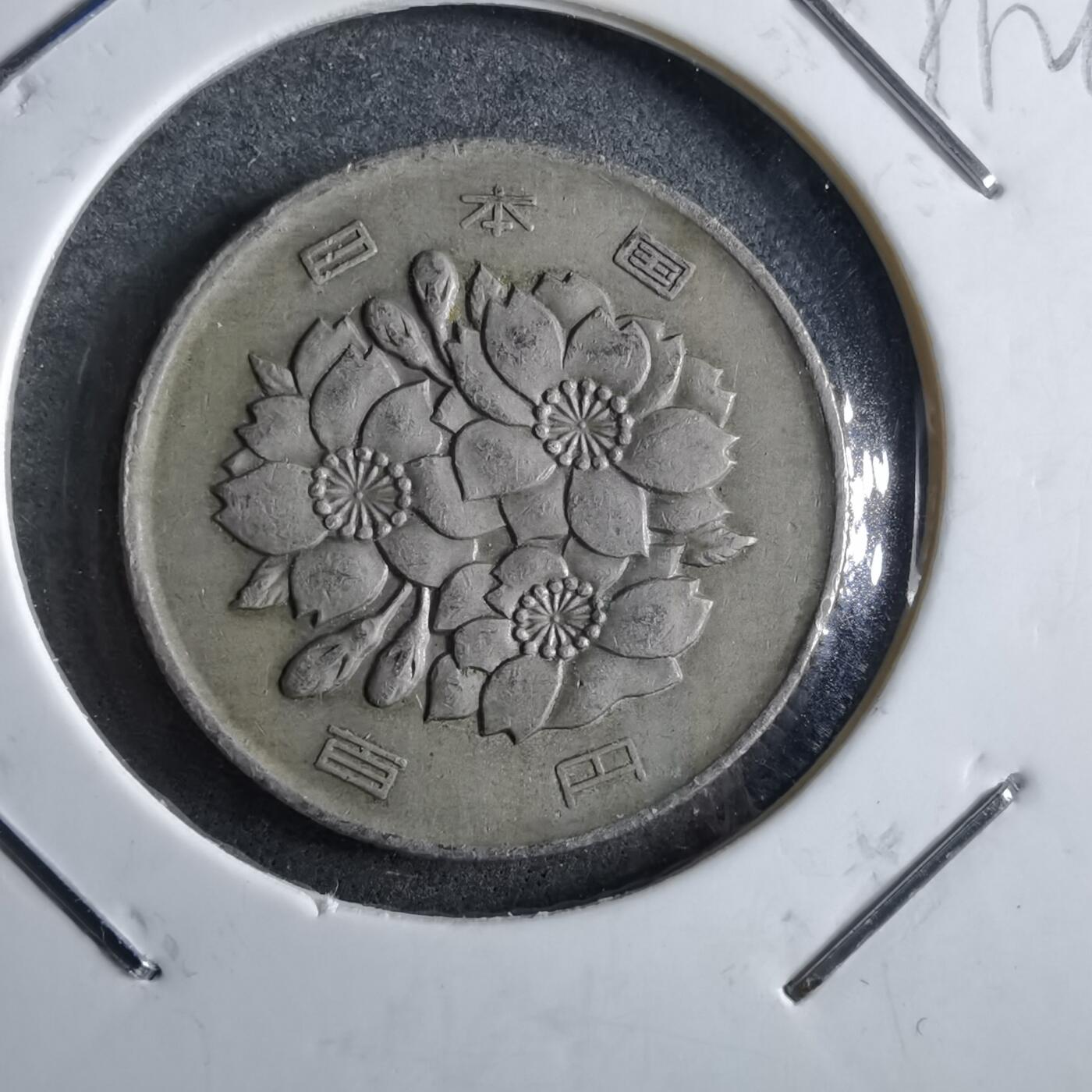 沼泽如烟--第891场