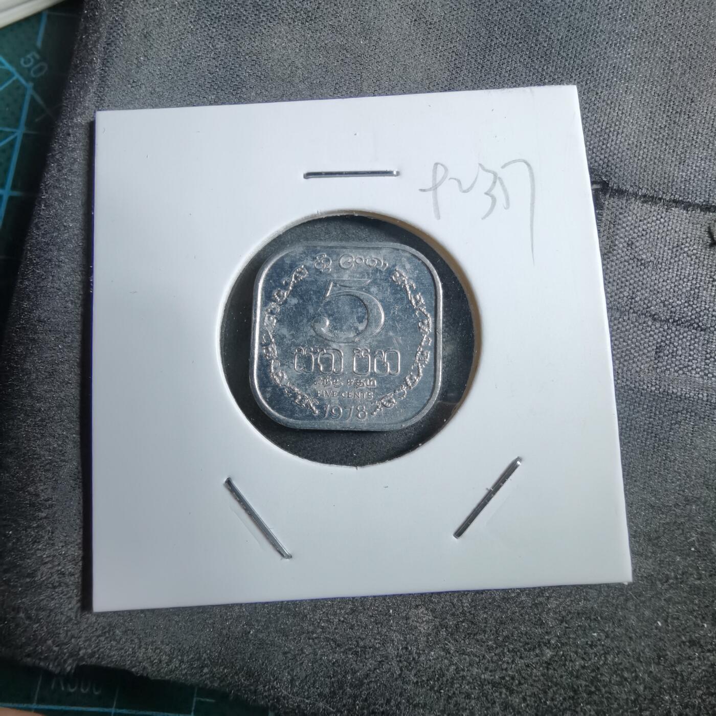 沼泽如烟--第892场