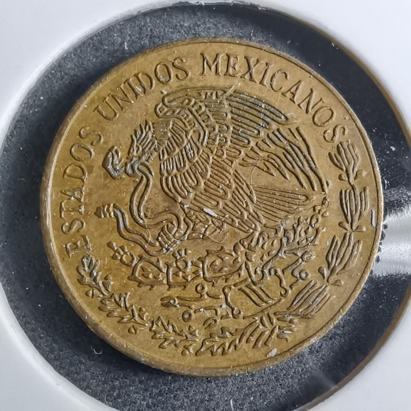 沼泽如烟--第892场