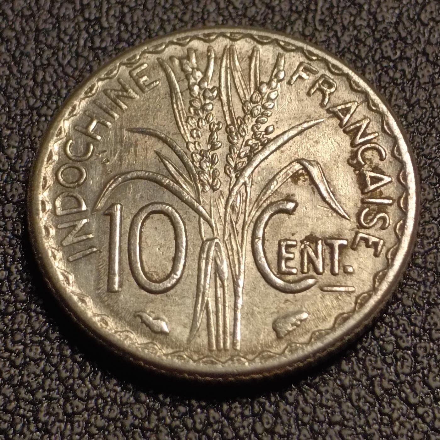 泉币菌-第127场-精品福利场(115场之后的本周末发货，感谢理解)