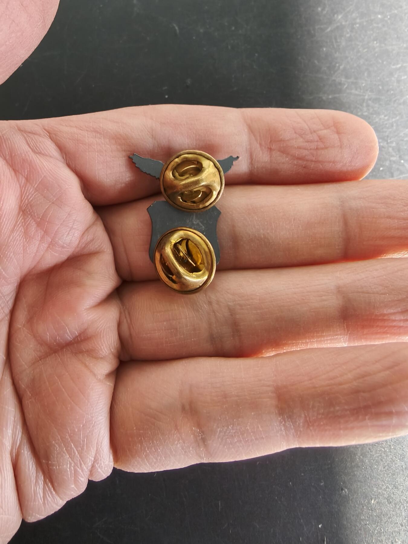 老王徽章第161期