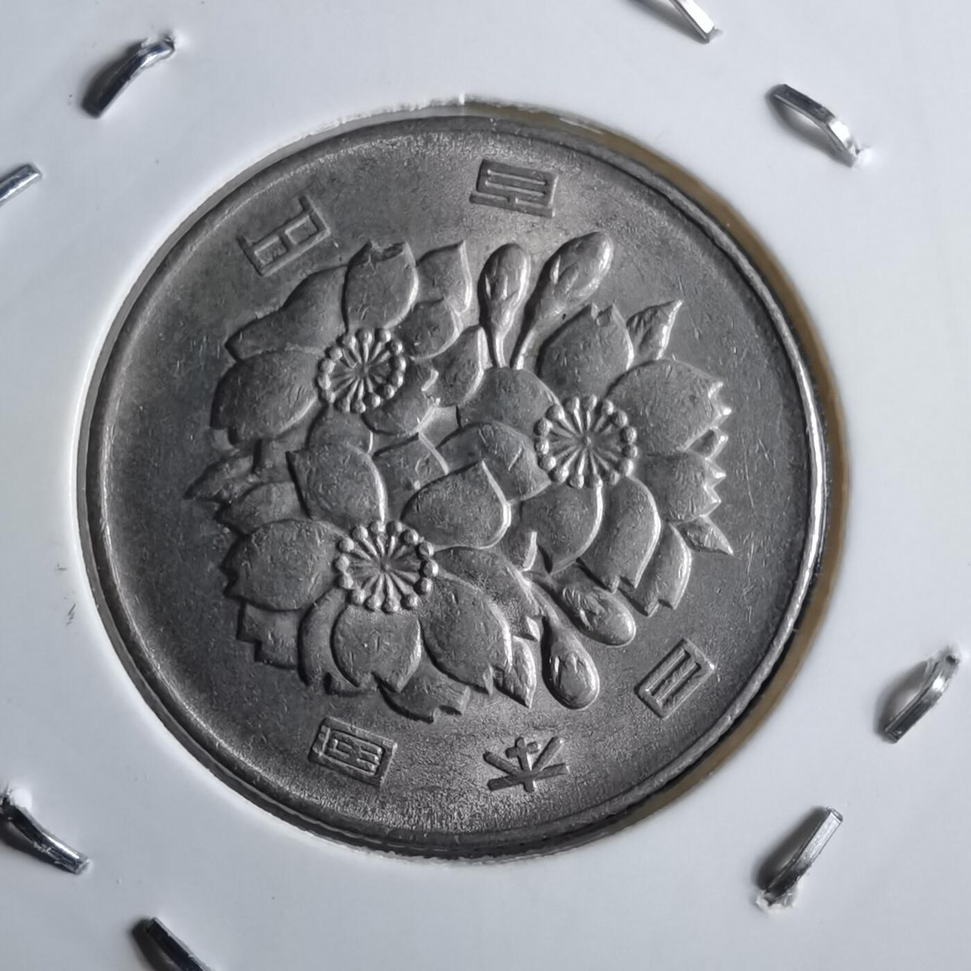 沼泽如烟--第891场